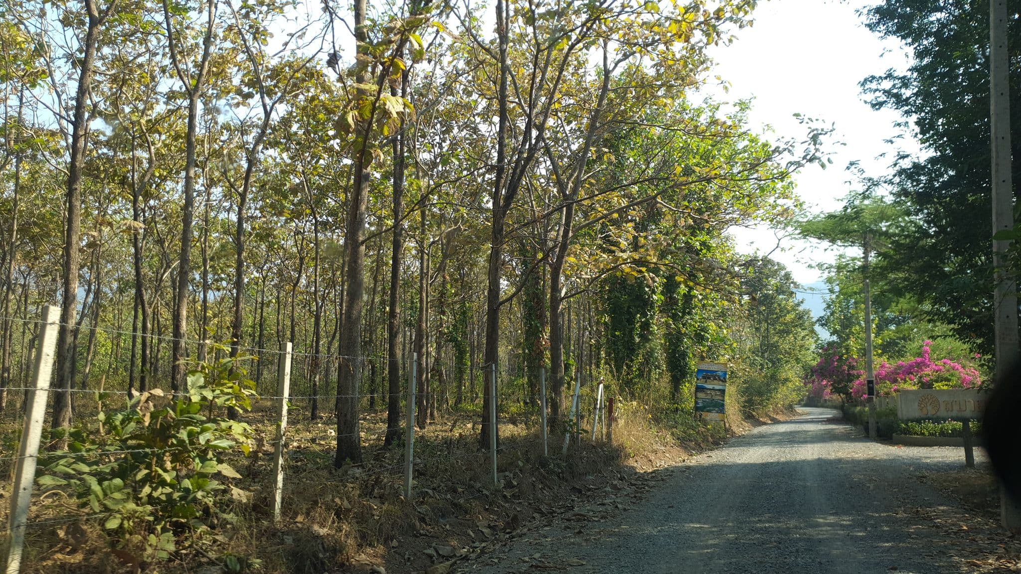 Street view near Sabai Sabai Retreat, San Kamphaeng — © jrcarlsen (CC BY-SA · Mapillary)