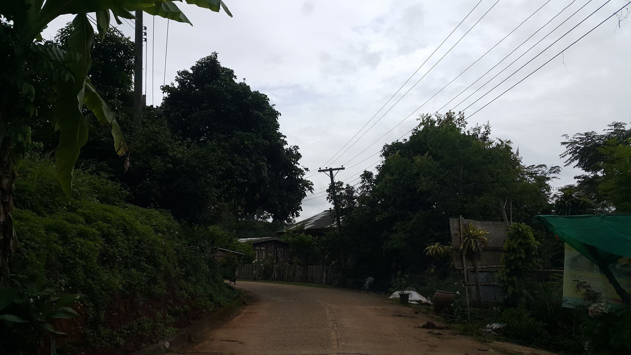 Street view near เอื้องดิน โฮมสเตย์ บ้านป่าเหมี้ยง, San Kamphaeng — © jrcarlsen (CC BY-SA · Mapillary)
