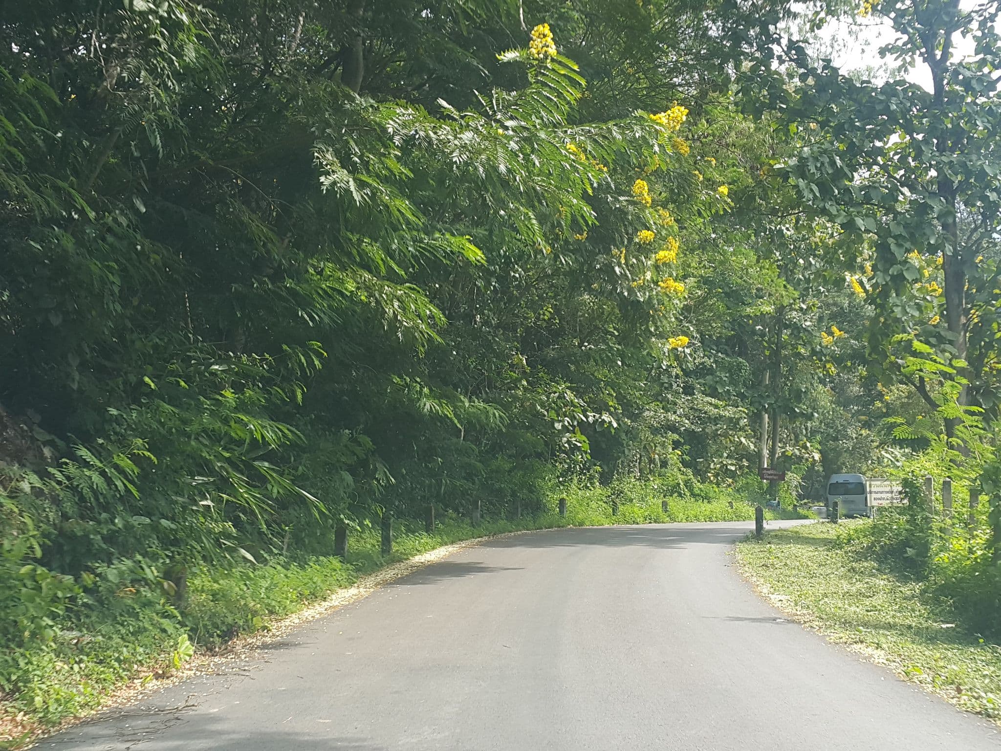 Street view near T Story, San Kamphaeng — © jrcarlsen (CC BY-SA · Mapillary)