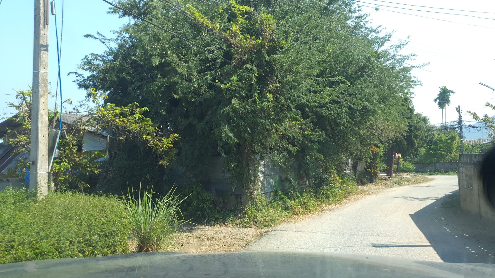 Street view near โฮมสเตย์บ้านปง-ห้วยลาน, San Kamphaeng — © jrcarlsen (CC BY-SA · Mapillary)