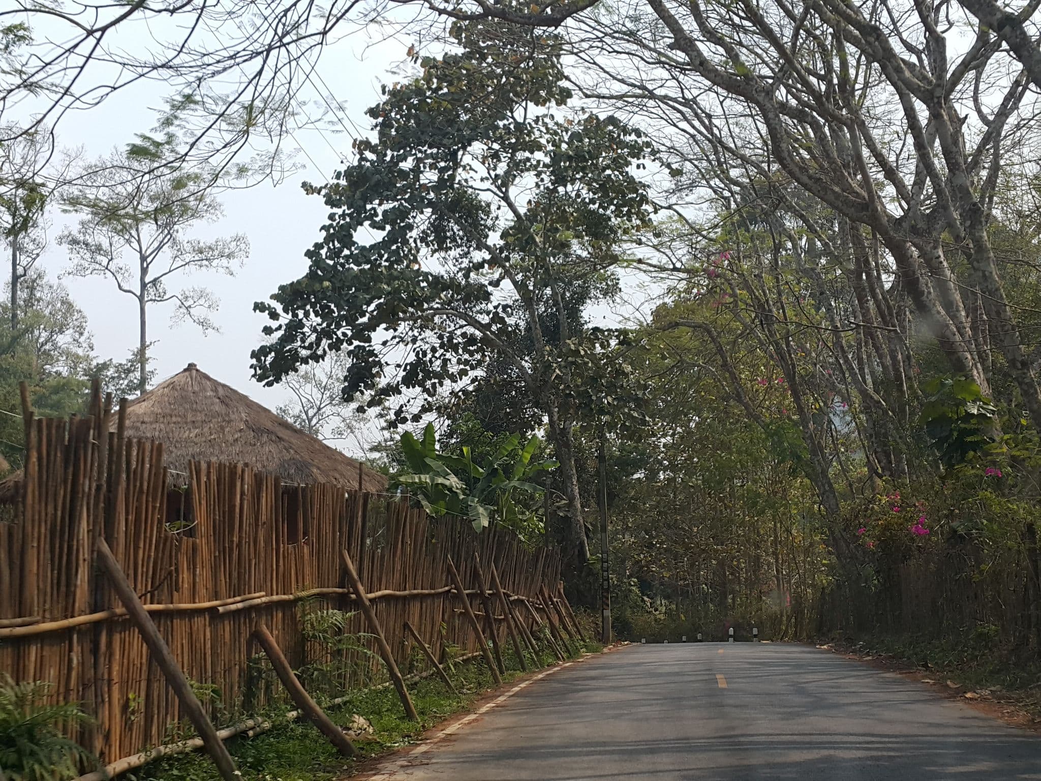Street view near Baandin Chiangdao, Phrao — © jrcarlsen (CC BY-SA · Mapillary)