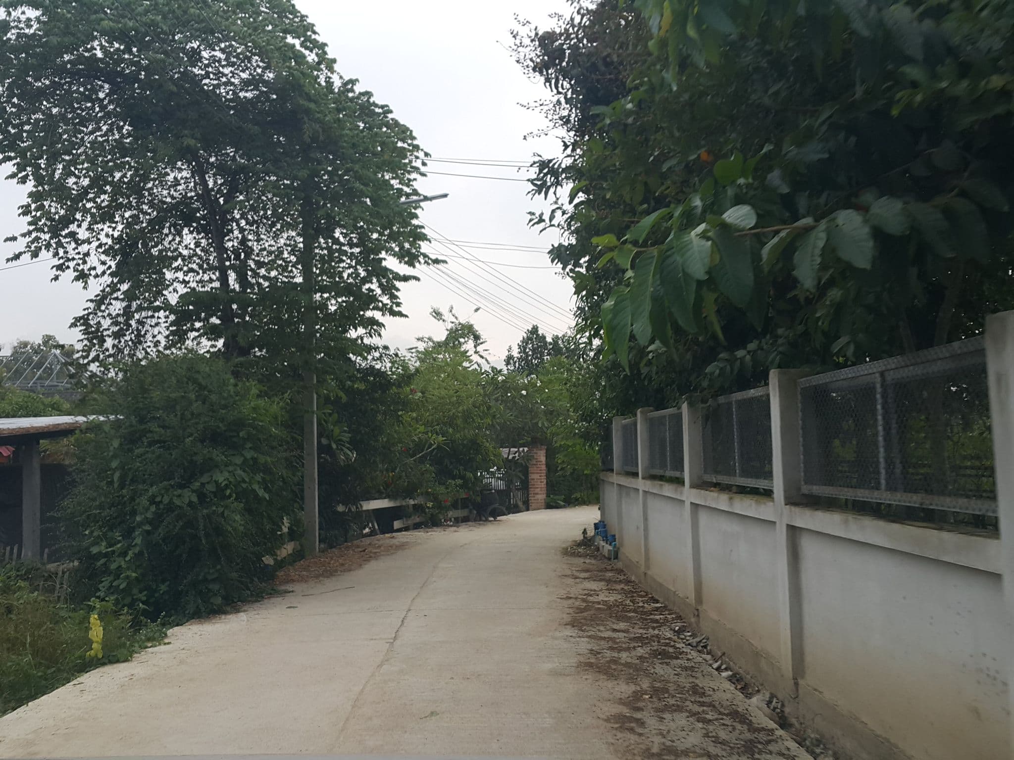 Street view near Donut House, Pai — © jrcarlsen (CC BY-SA · Mapillary)
