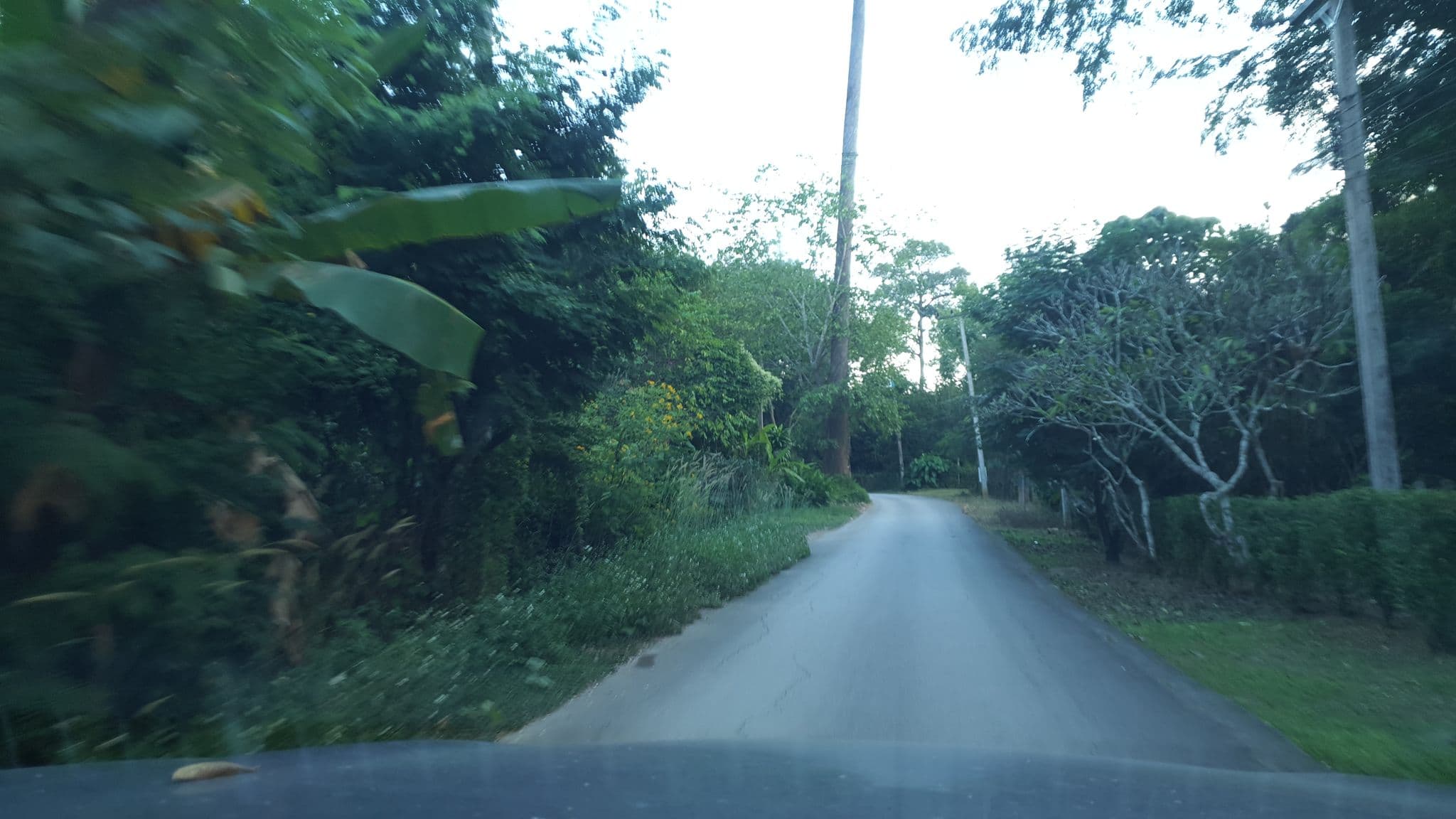 Street view near malee's, Phrao — © jrcarlsen (CC BY-SA · Mapillary)