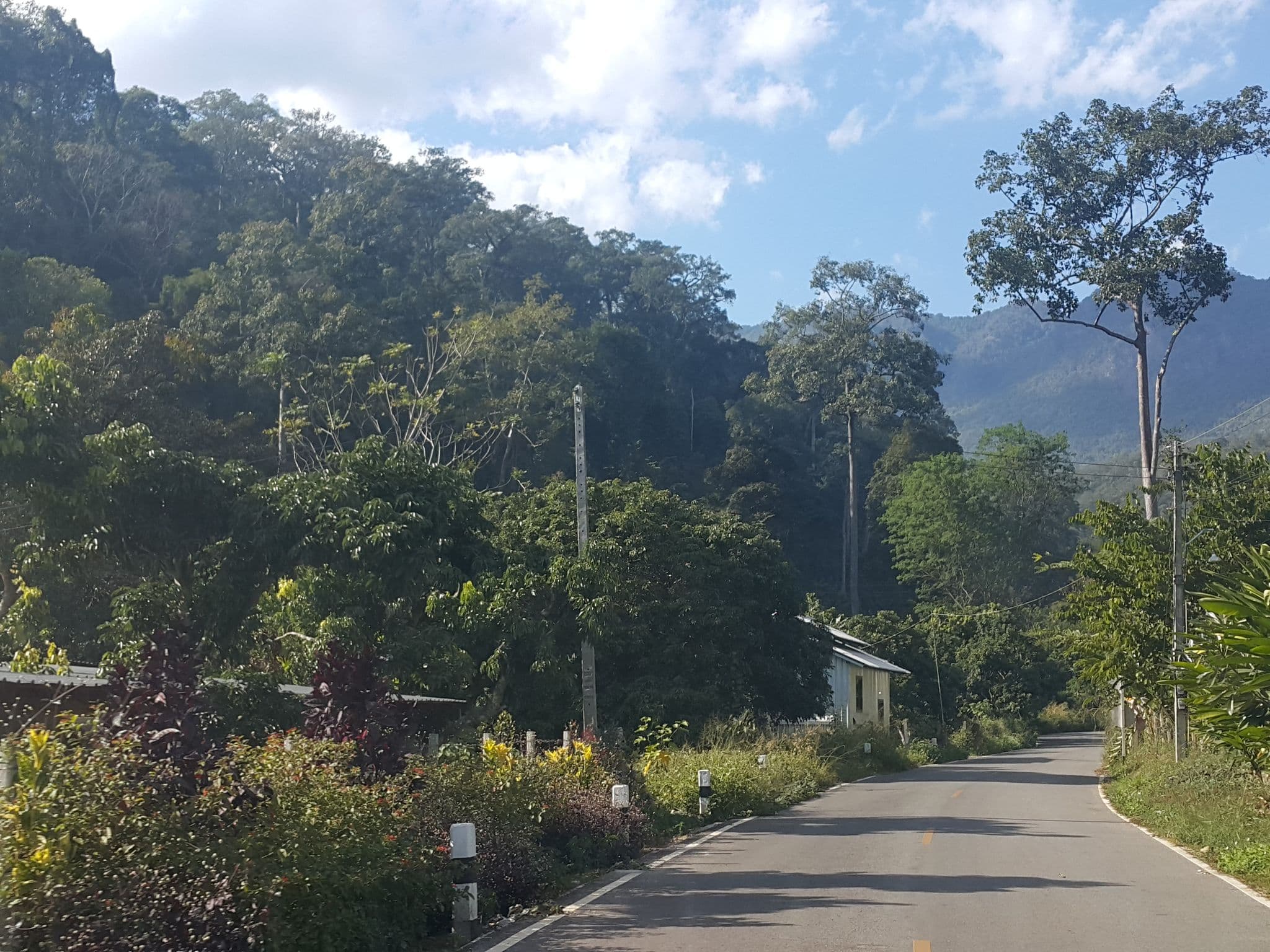 Street view near Final Land - Chiang Dao, Phrao — © jrcarlsen (CC BY-SA · Mapillary)