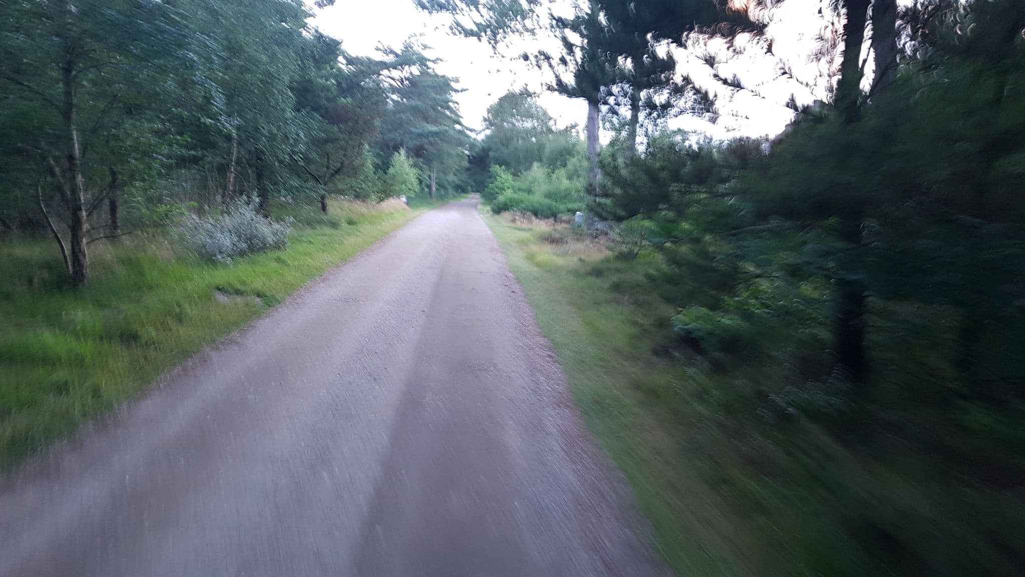 Street view near SJ Rooms, Skaerbaek — © dsmm (CC BY-SA · Mapillary)