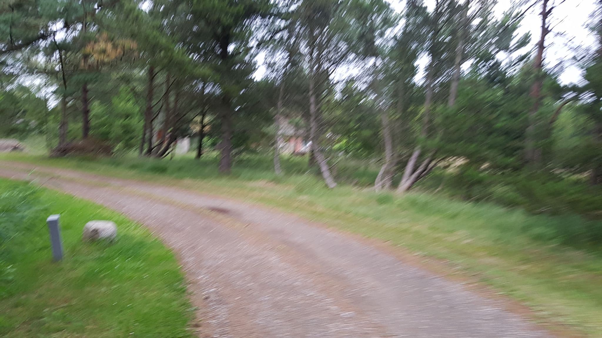 Street view near Sønderstrand, Dyssebjergvej, Skaerbaek — © dsmm (CC BY-SA · Mapillary)