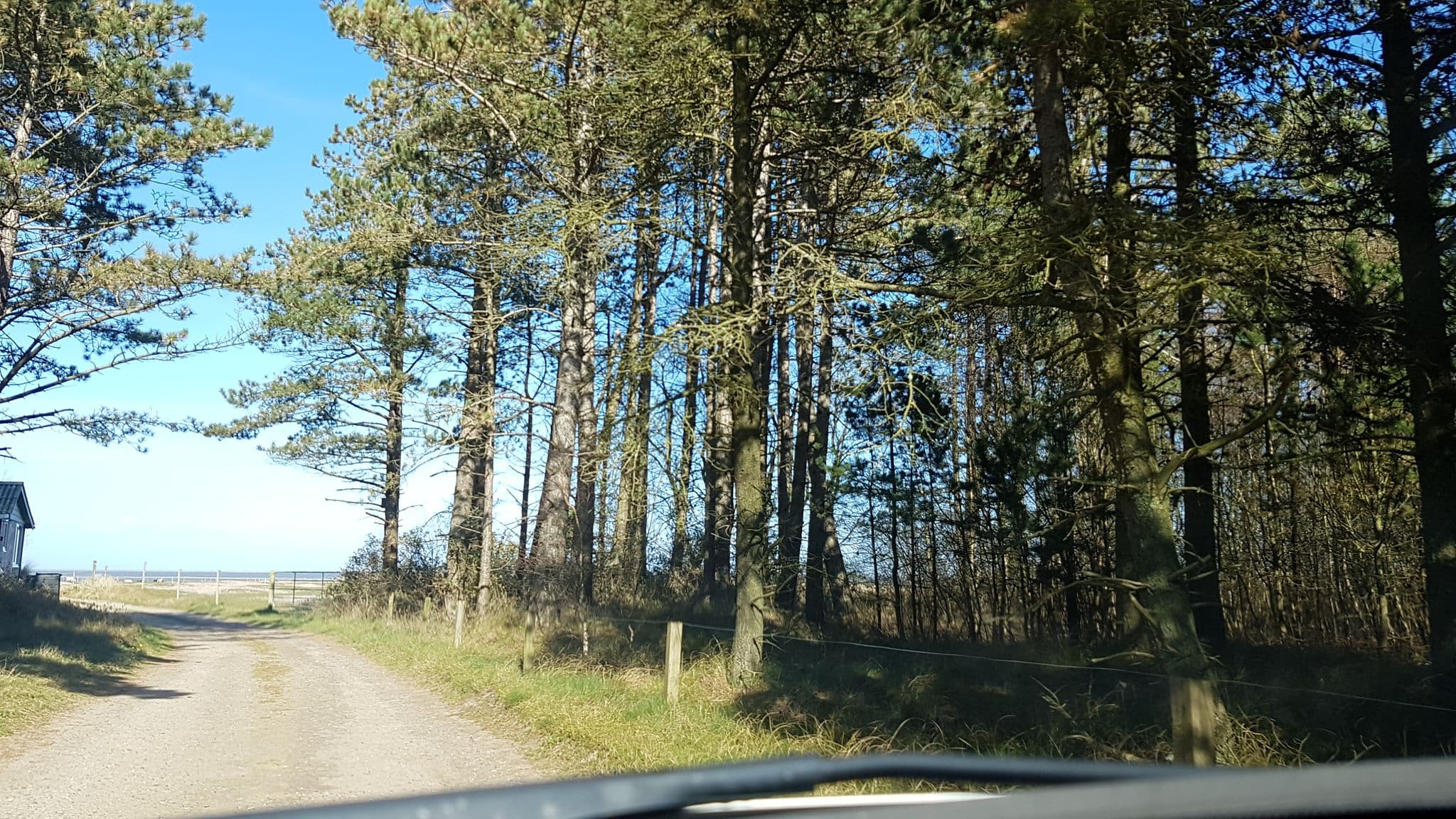 Street view near Sommerhuse 264, Skaerbaek — © elgaard (CC BY-SA · Mapillary)