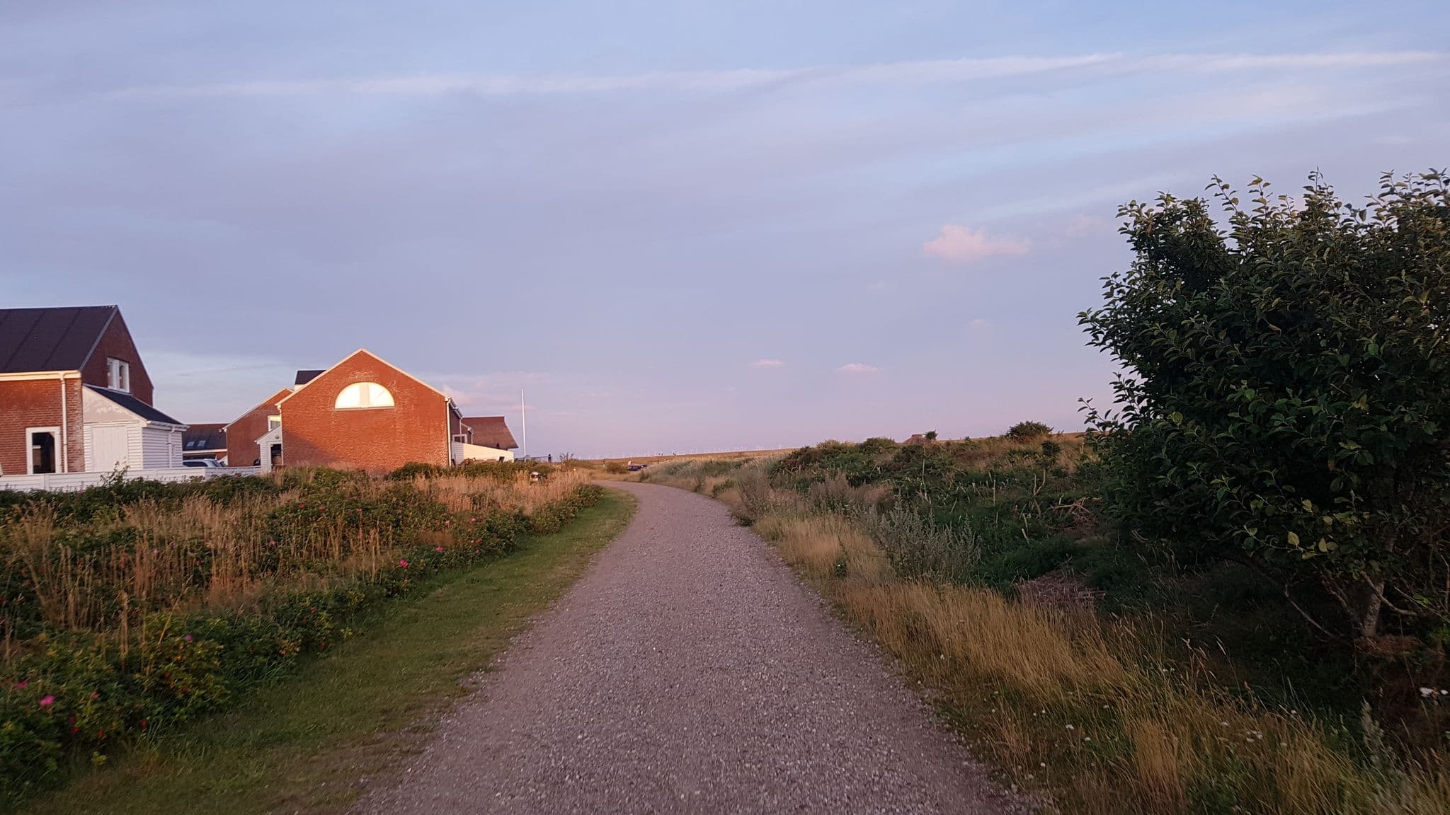 Street view near Home 337, Skaerbaek — © dsmm (CC BY-SA · Mapillary)
