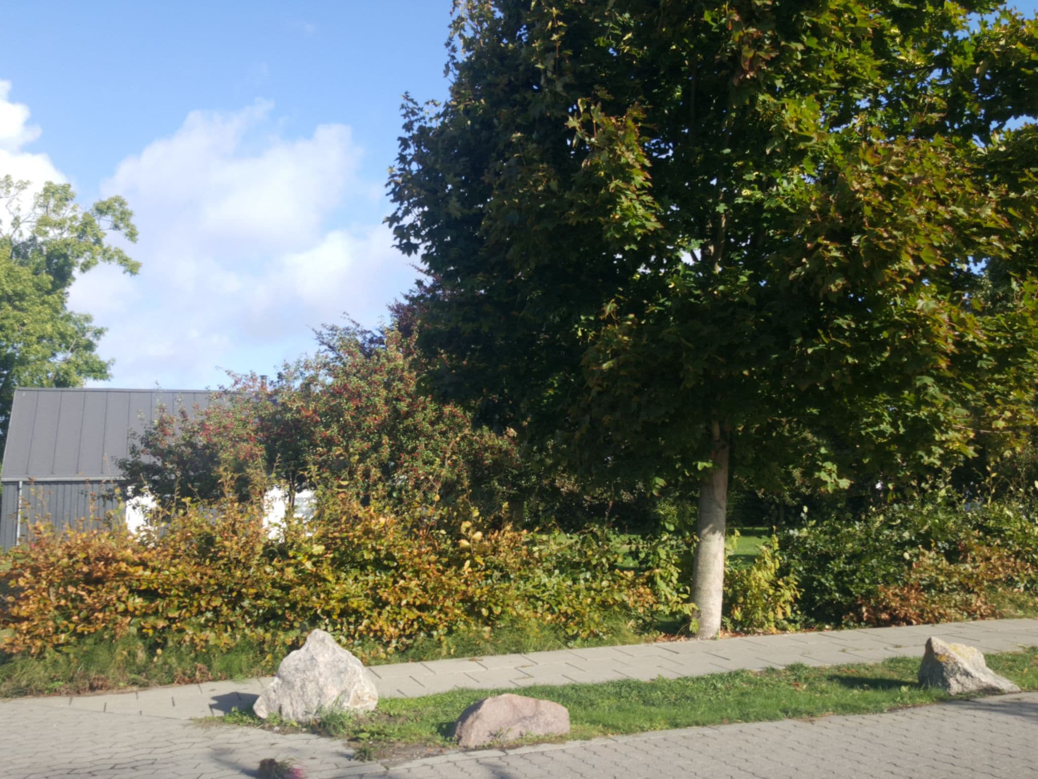 Street view near Lindevang, Væggerløse — © mwinstrup (CC BY-SA · Mapillary)