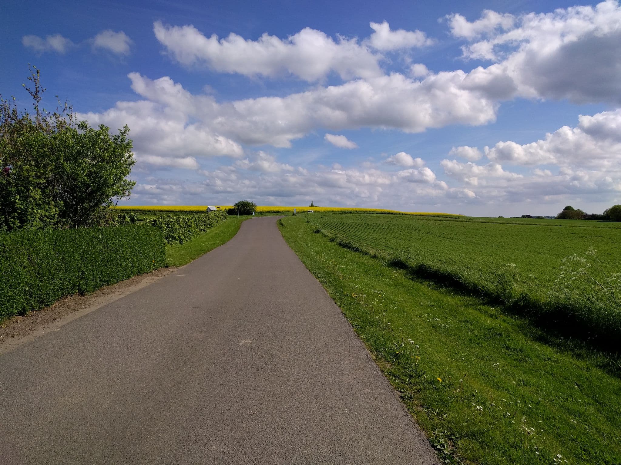 Street view near Stalden, Stubbekøbing — © mszilas (CC BY-SA · Mapillary)