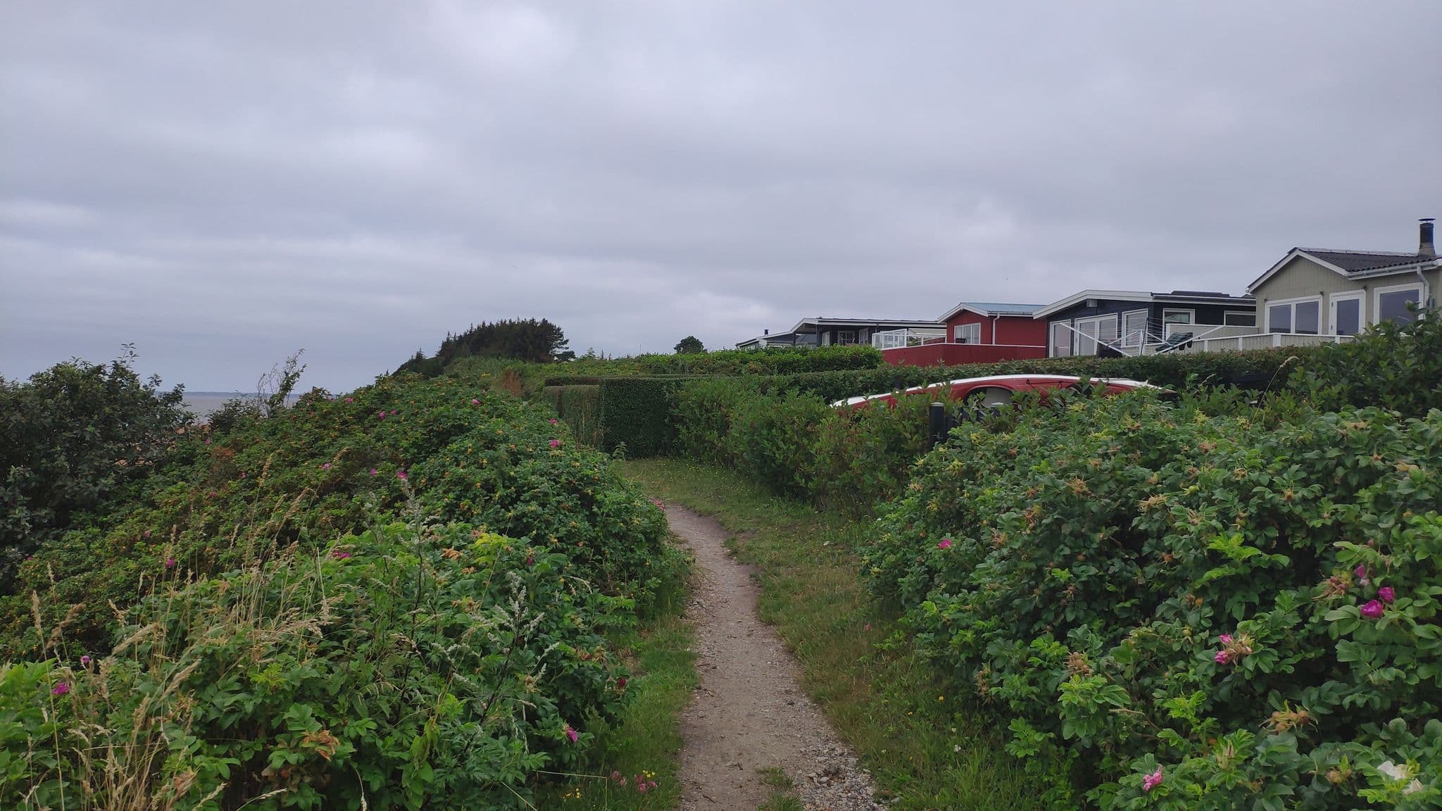Street view near Sjelborghytten, Esbjerg — © neogeografen (CC BY-SA · Mapillary)