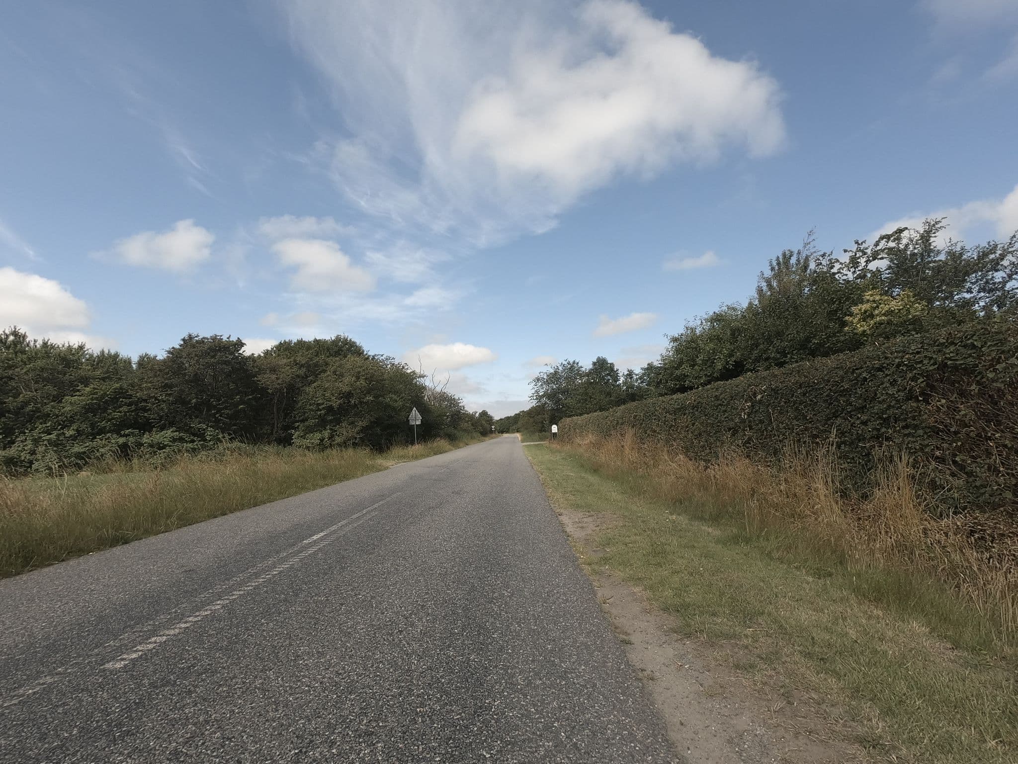 Street view near Bjerrumgaard Bed & Breakfast, Ribe — © neogeografen (CC BY-SA · Mapillary)