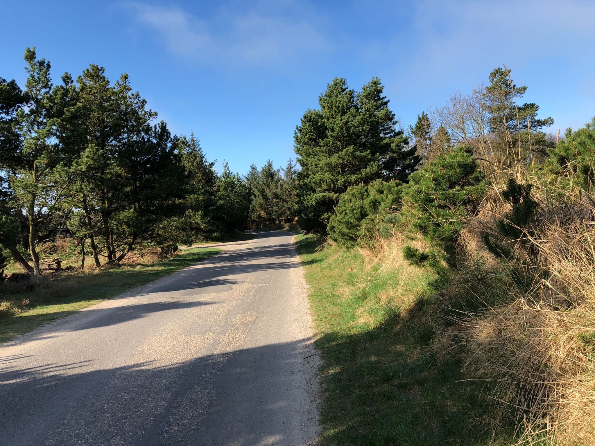 Street view near Fyrvej 21, Oksbøl — © peterleth (CC BY-SA · Mapillary)