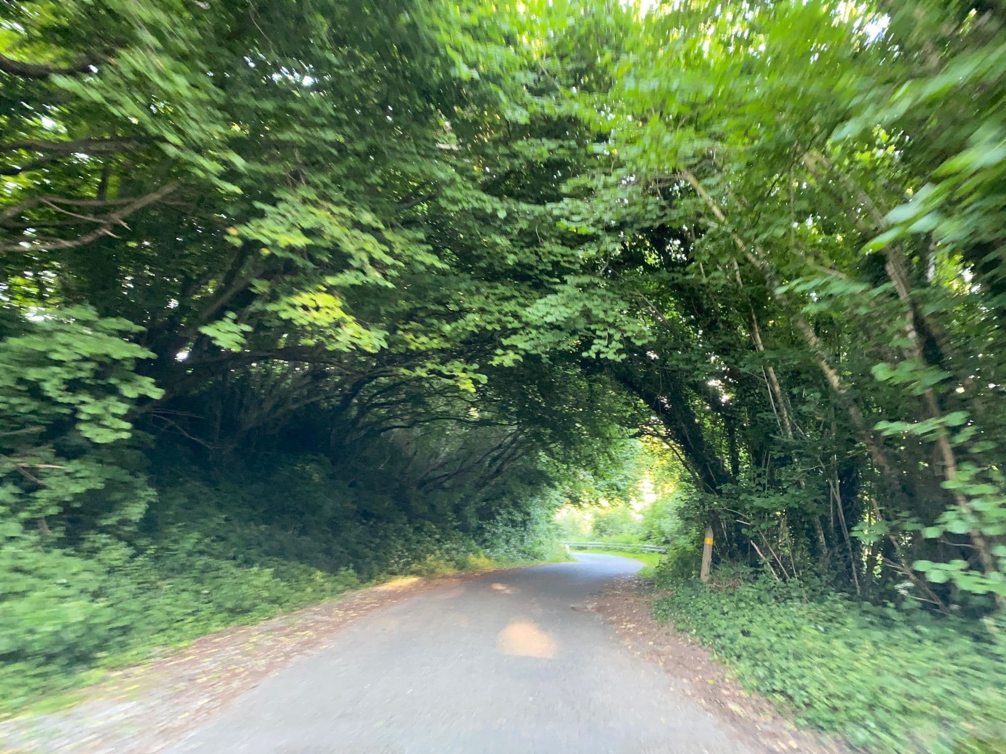 Street view near Naturperlen ApS, Løjt Kirkeby — © mapnerd_dk (CC BY-SA · Mapillary)