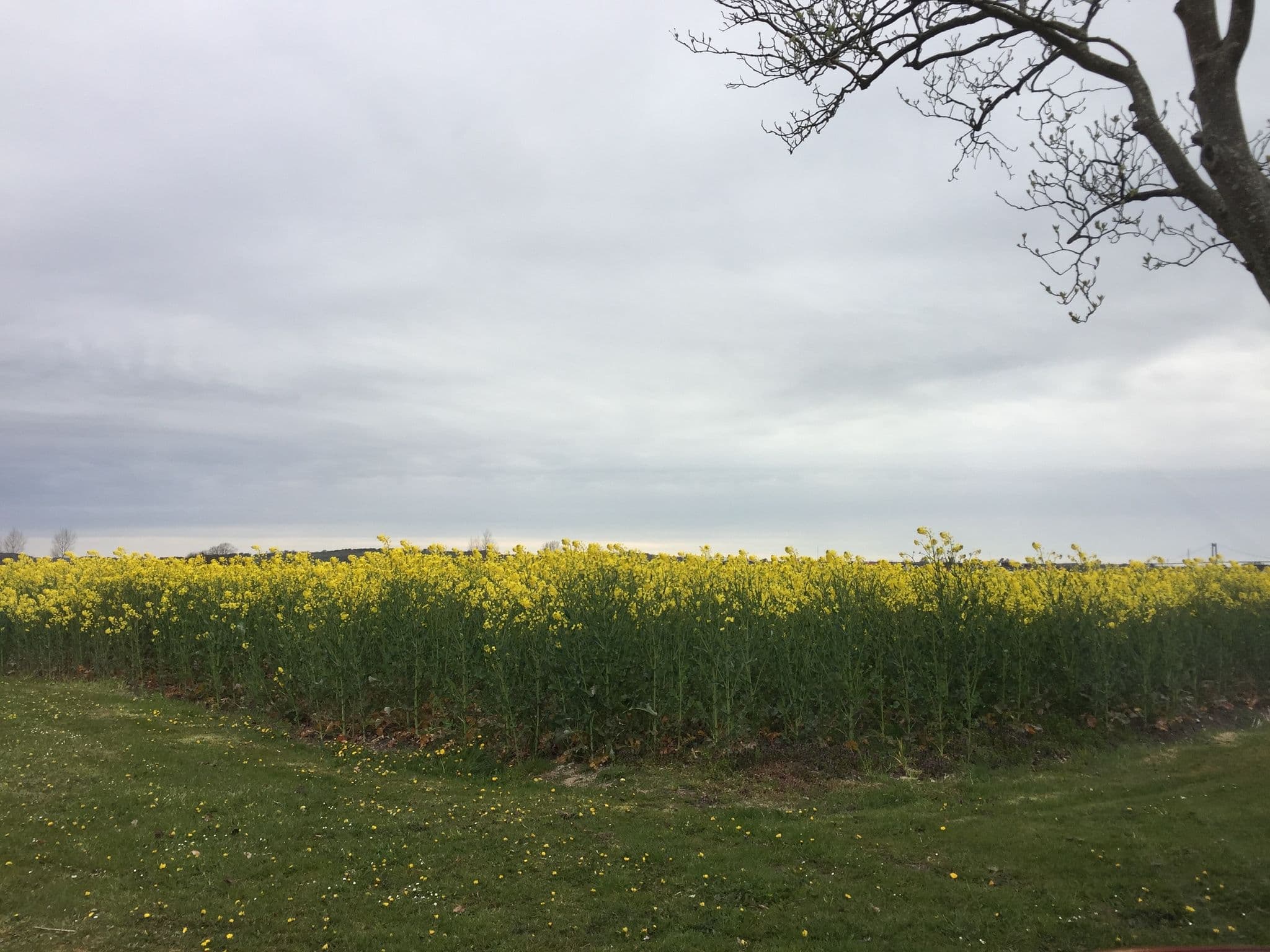 Street view near Kathrinelyst, Middelfart — © valteris (CC BY-SA · Mapillary)