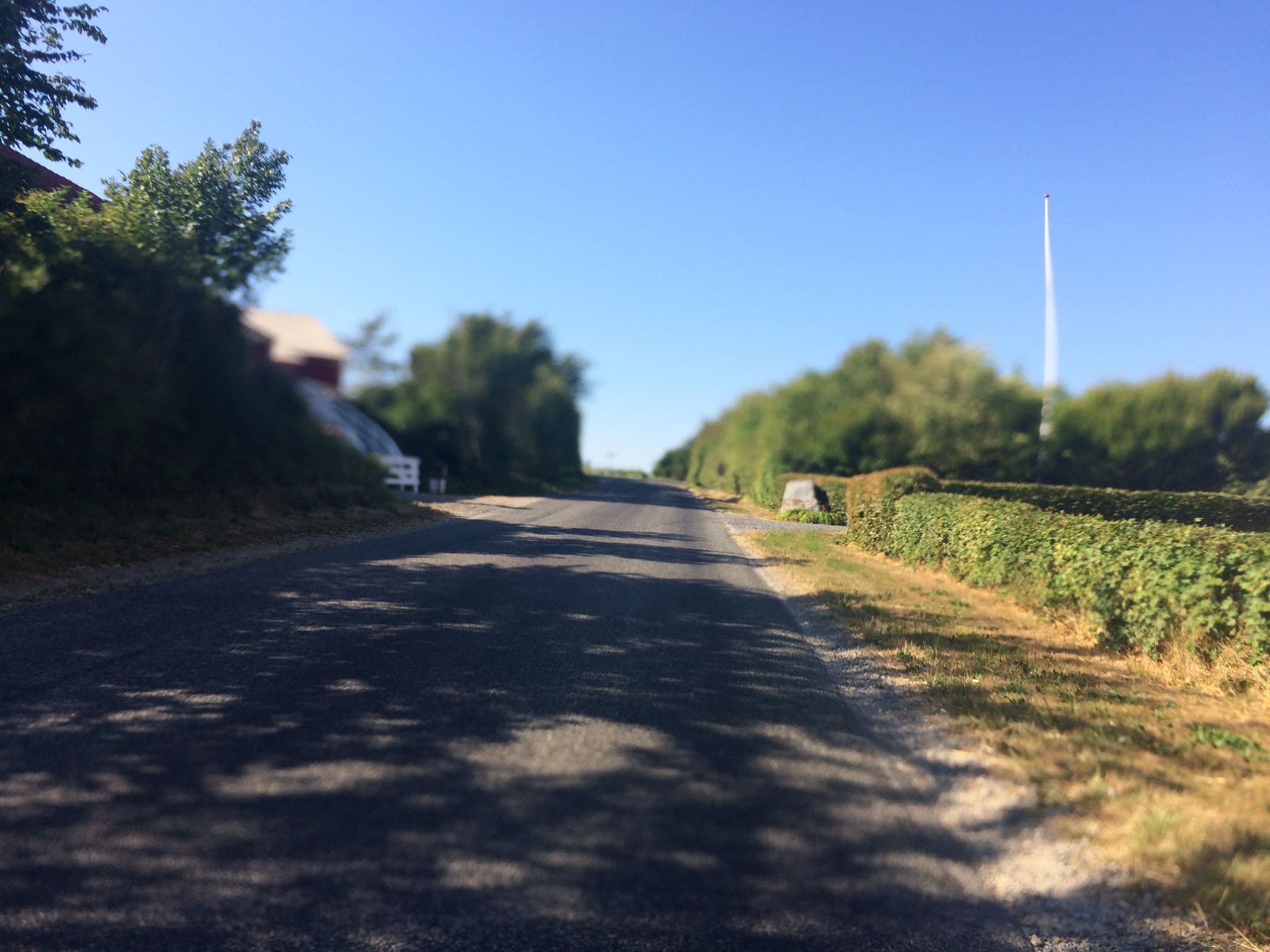 Street view near Hostrup Hovedgaard, Vinderup — © rikkekofoed (CC BY-SA · Mapillary)