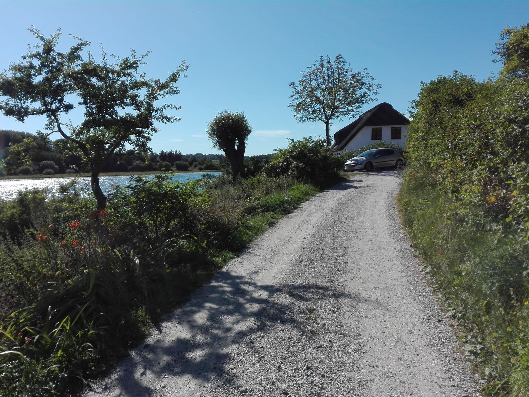 Street view near Høllet, Mariager — © nico (CC BY-SA · Mapillary)