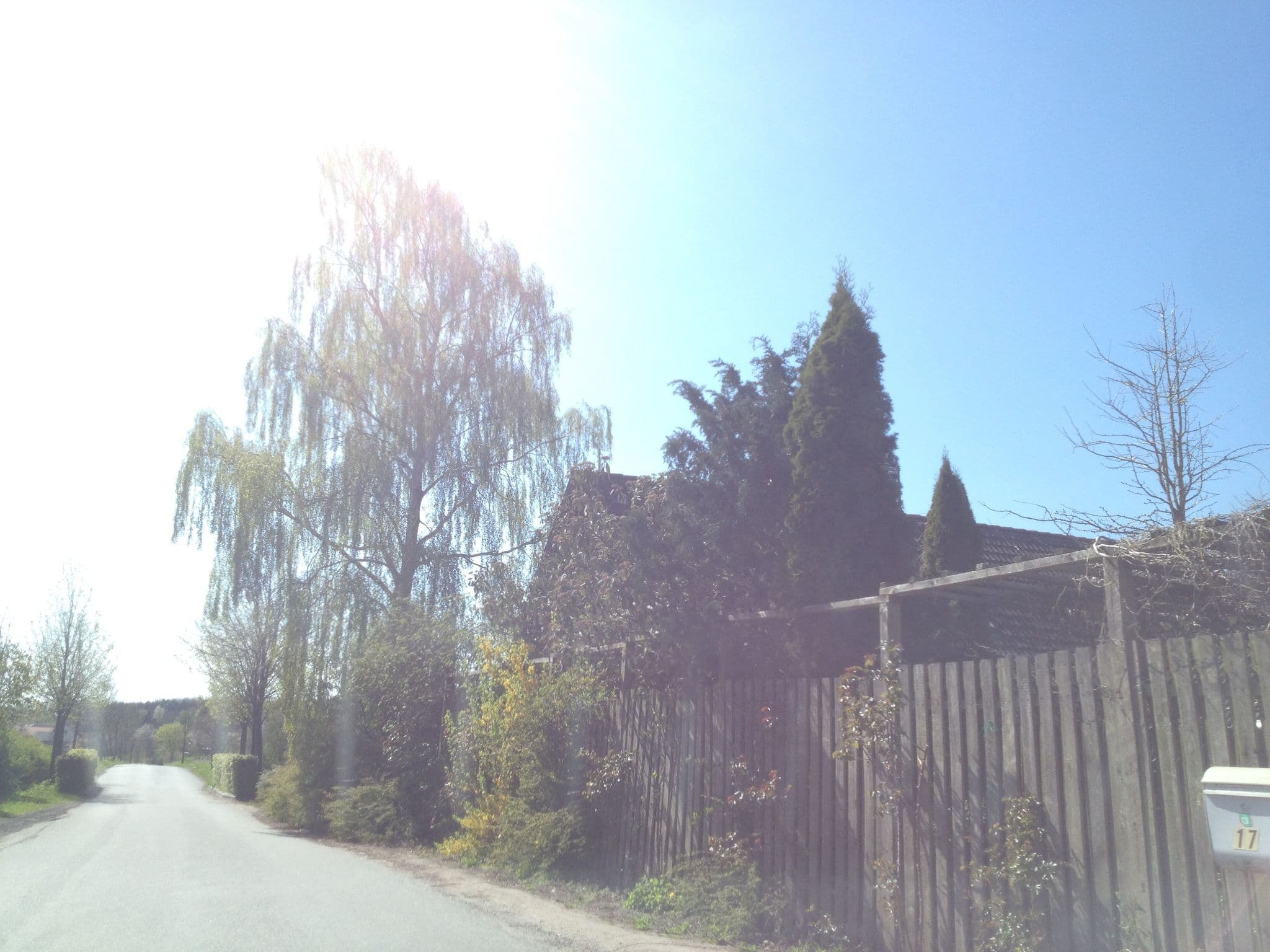 Street view near Borup Bed & Breakfast, Osted — © elgaard (CC BY-SA · Mapillary)