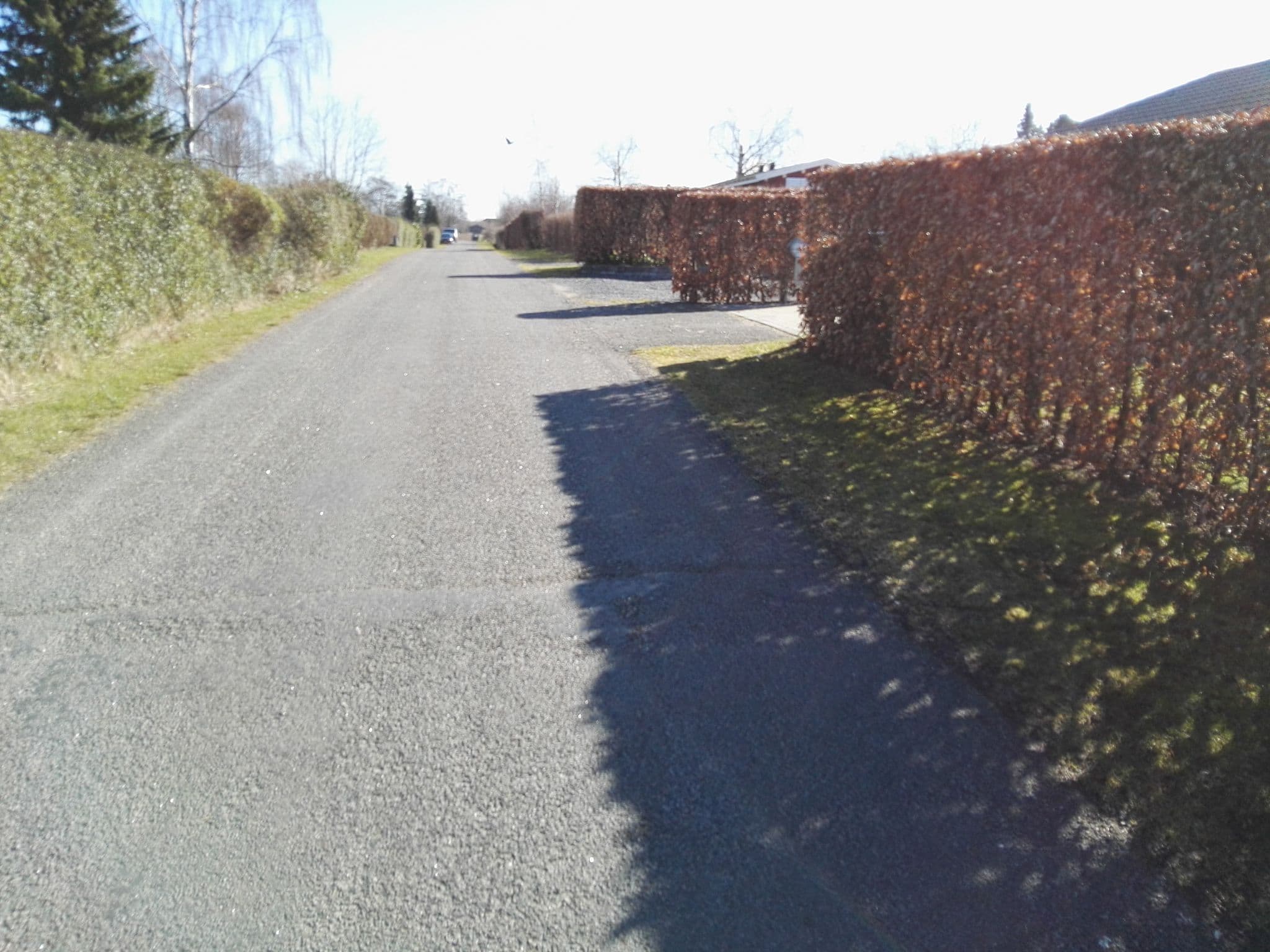 Street view near Sommerhus, Jægerspris — © neogeografen (CC BY-SA · Mapillary)