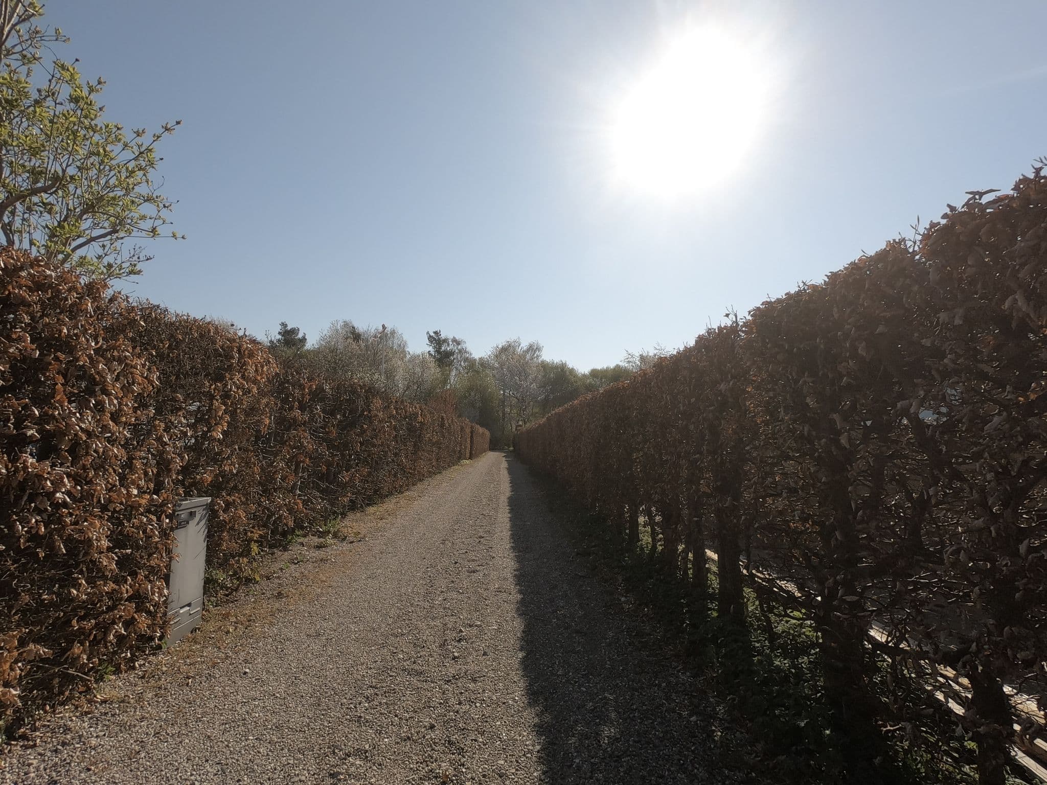 Street view near Bedstes Sommerhus, Ballerup — © neogeografen (CC BY-SA · Mapillary)