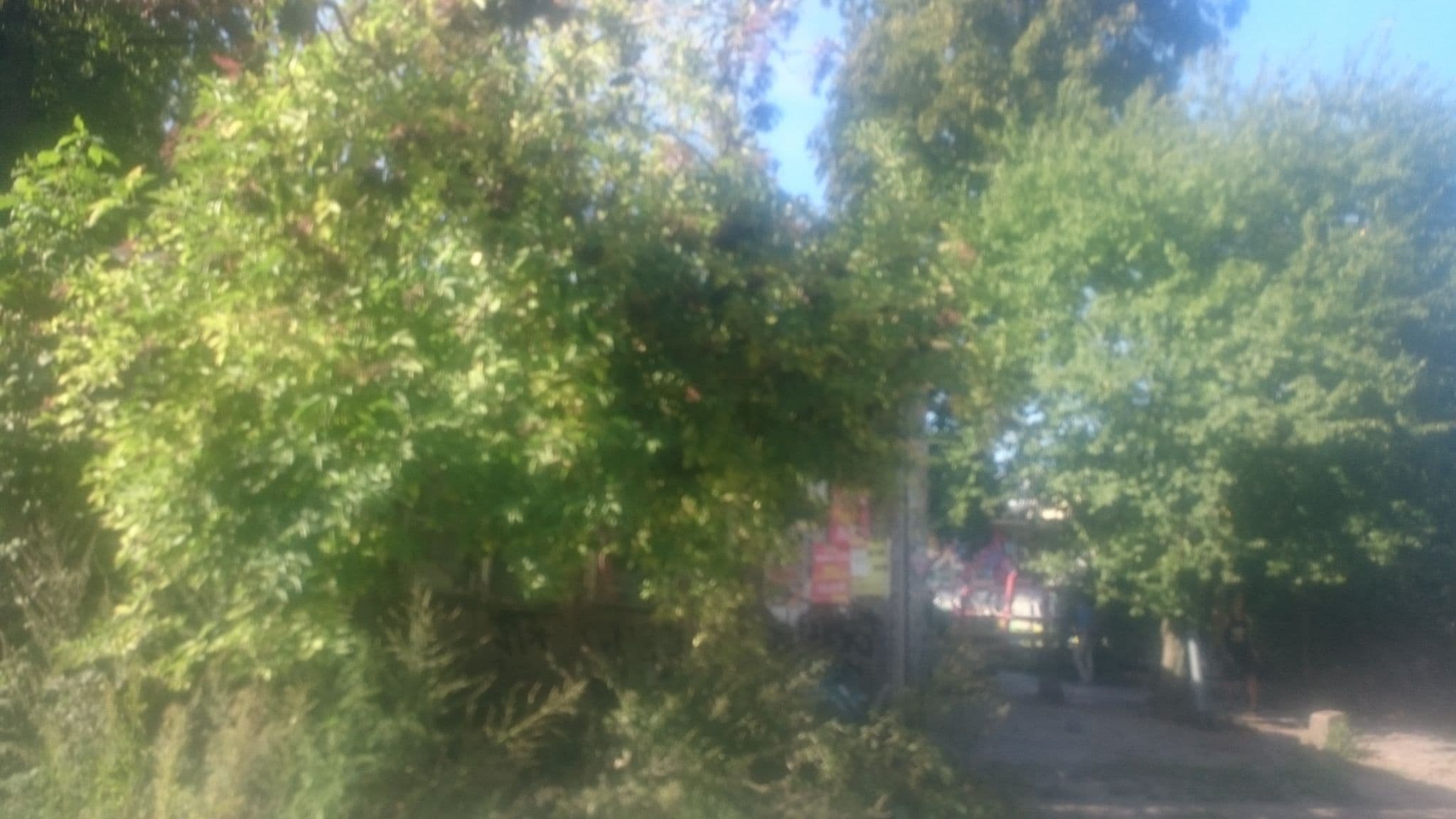 Street view near Kongeriget Danmark, Christianshavn — © brodersen (CC BY-SA · Mapillary)