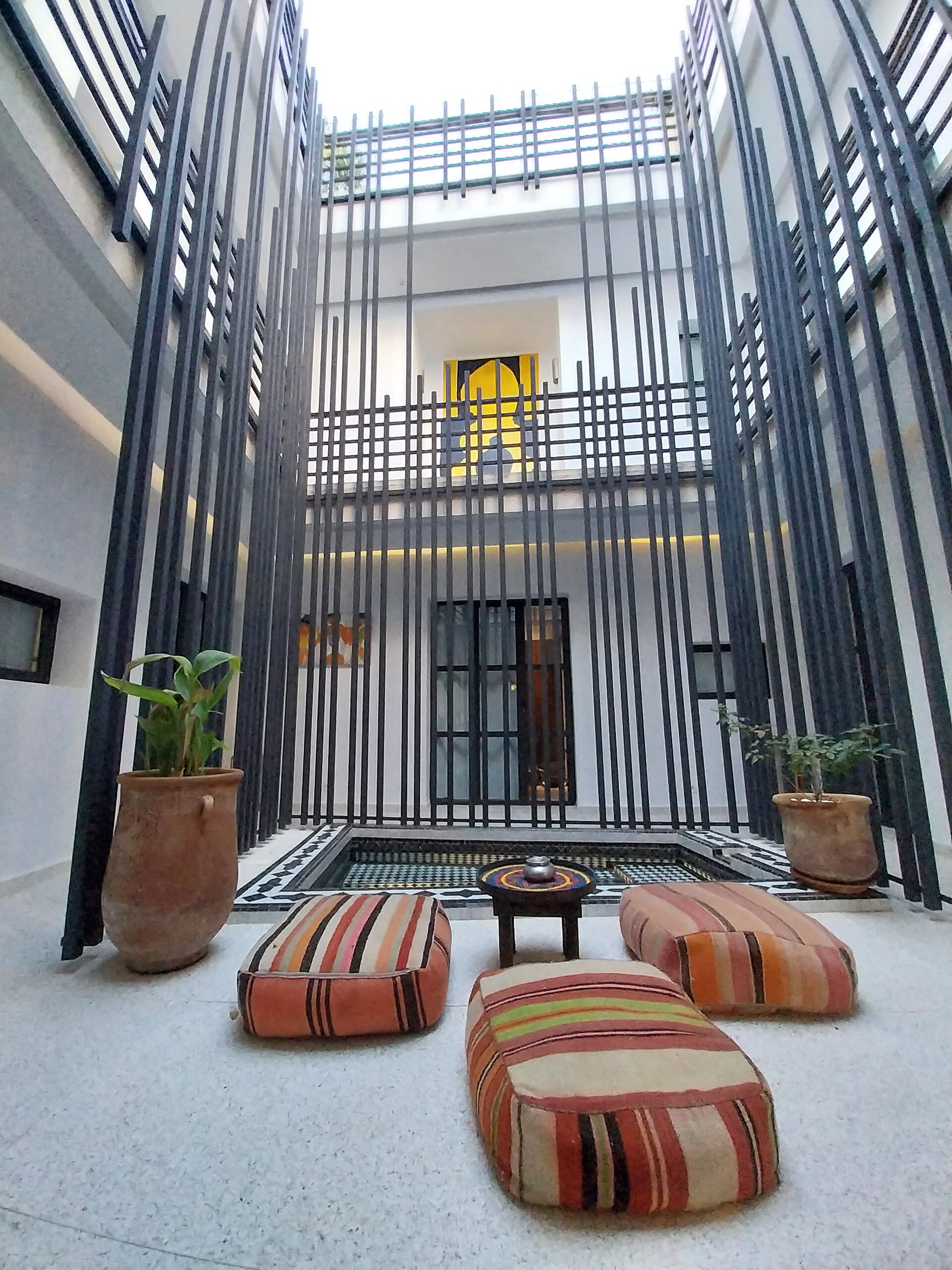 Riad Zebrakaro (via Wikimedia Commons, CC BY-SA 4.0)