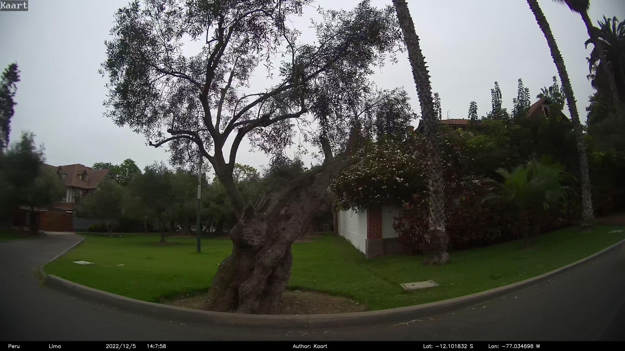 Street view near Posada Del Olivar, San Isidro — © kaart5 (CC BY-SA · Mapillary)