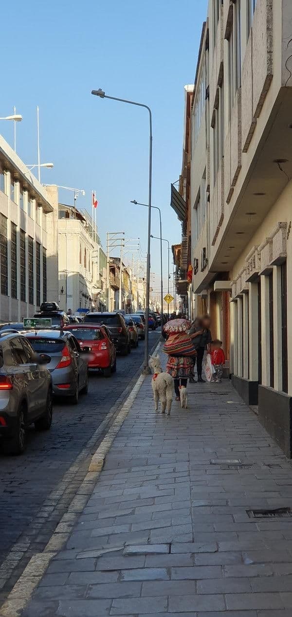 Street view near San Agustín Posada Del Monasterio, Arequipa — © Nicoboud (CC BY-SA · Mapillary)