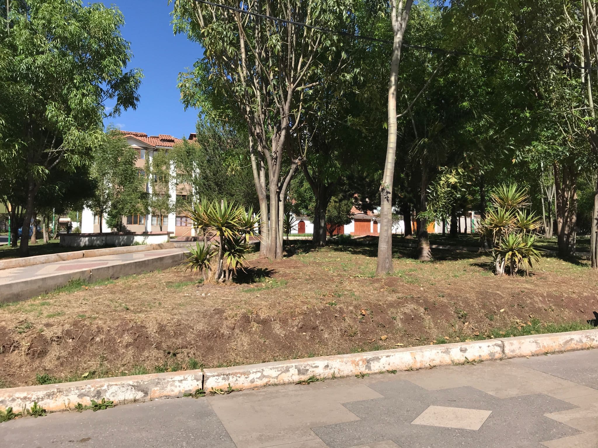 Street view near Hotel Torre Dorada, Cusco — © miguel_andrade (CC BY-SA · Mapillary)
