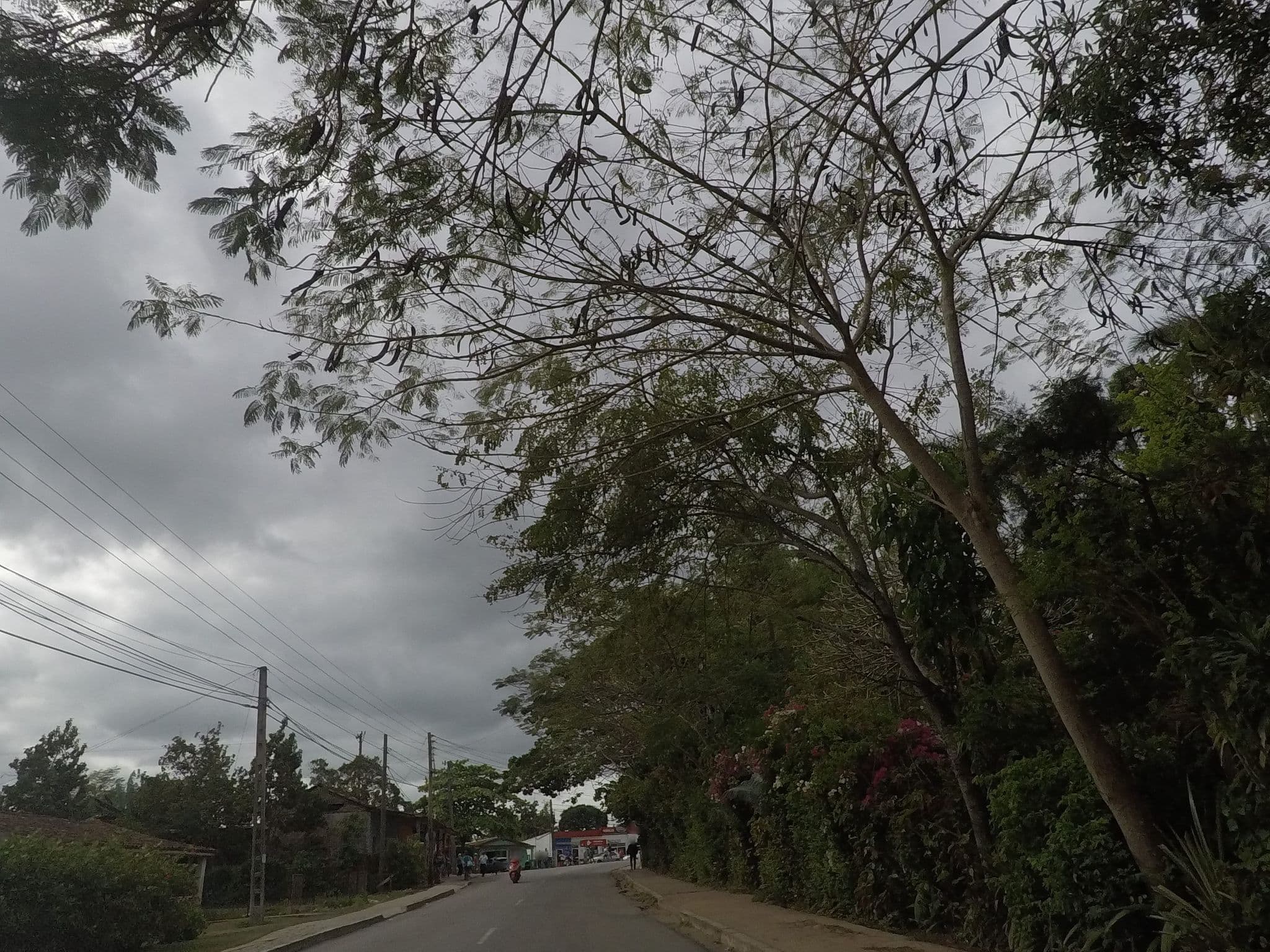 Street view near Casa Antonio, Viñales