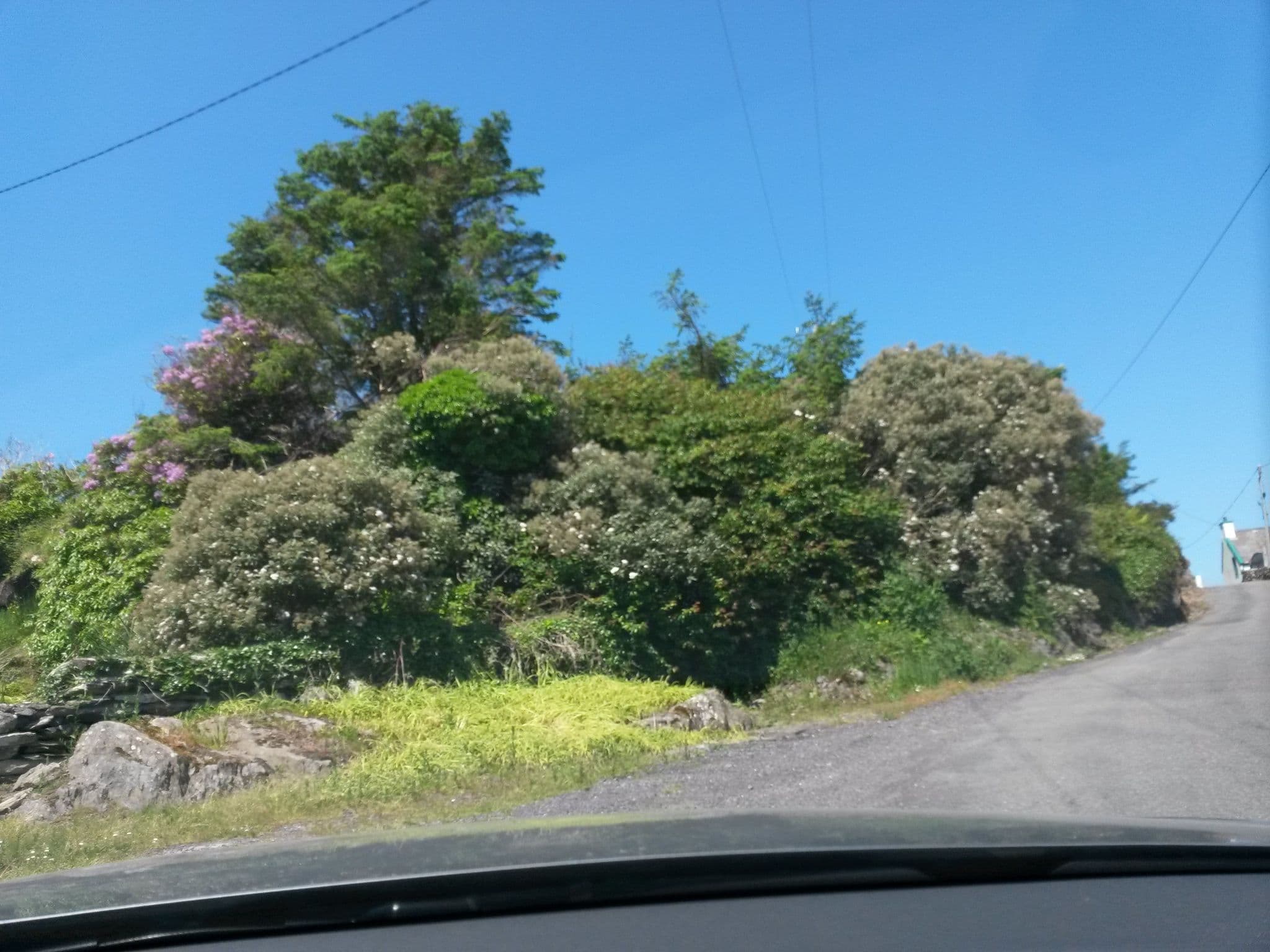 Street view near Coulagh Bay Cottages, Cahersiveen — © rausk (CC BY-SA · Mapillary)