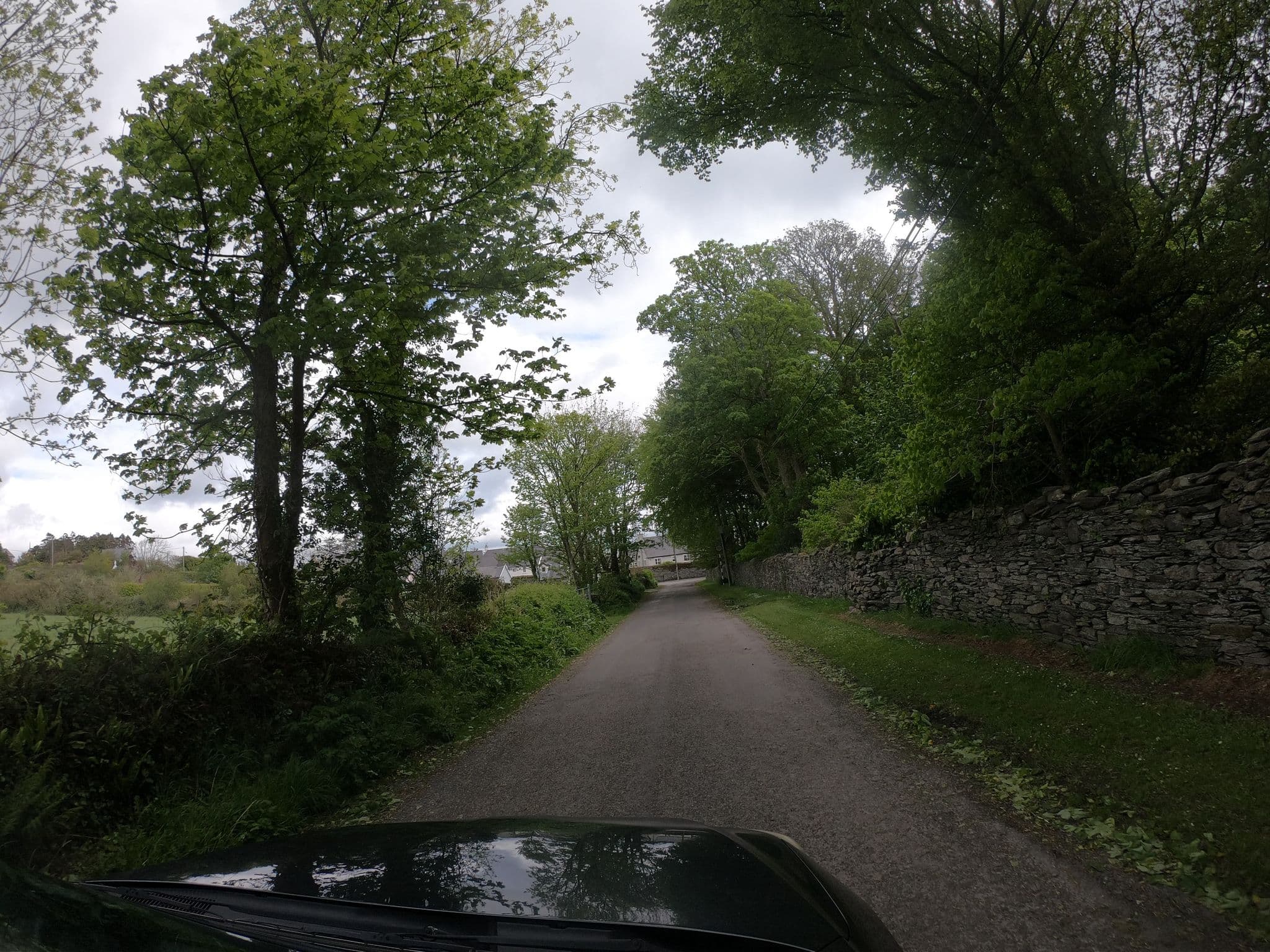 Street view near Lisadell House B&B, Skibbereen — © debigc (CC BY-SA · Mapillary)