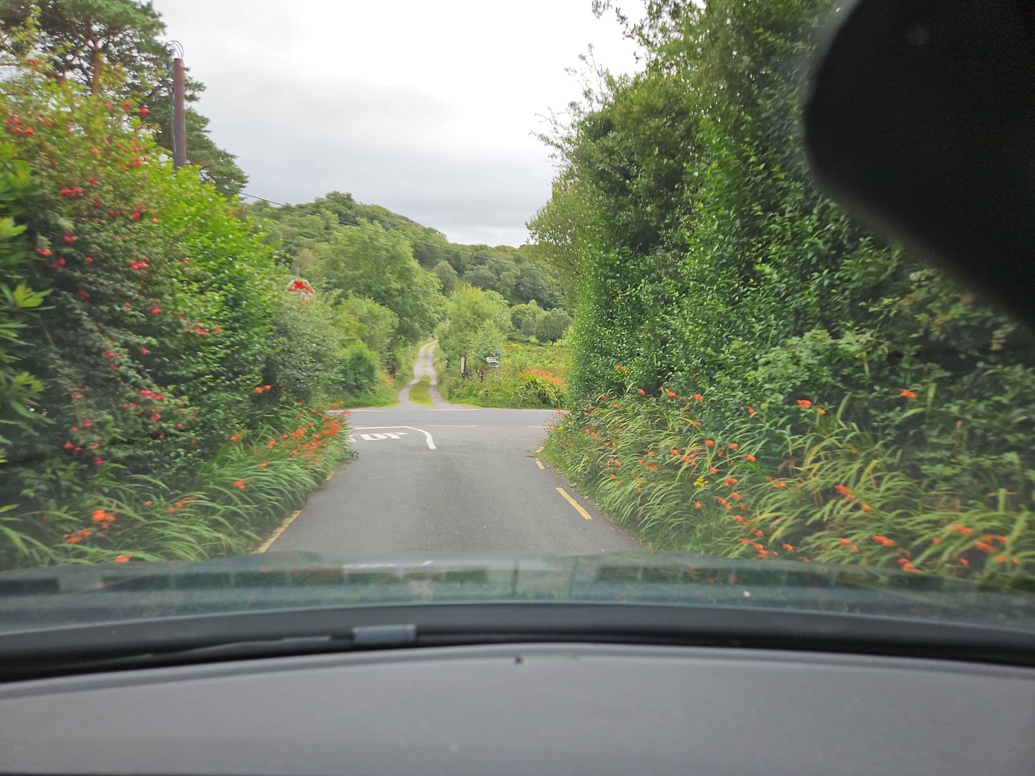 Street view near The Climbers Inn, Killorglin — © toho (CC BY-SA · Mapillary)