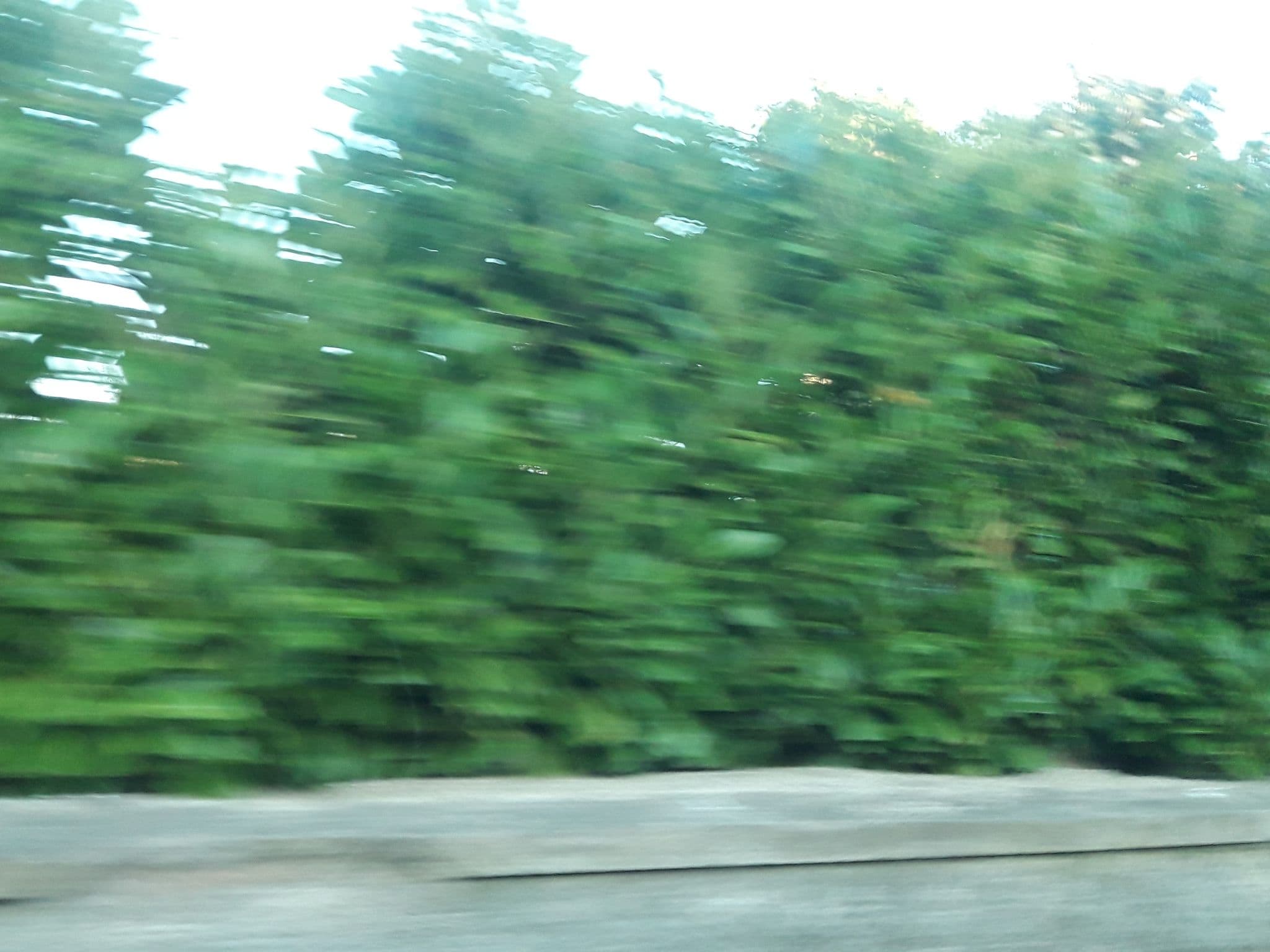 Street view near Larkinley Lodge, Killarney — © fifimkg (CC BY-SA · Mapillary)