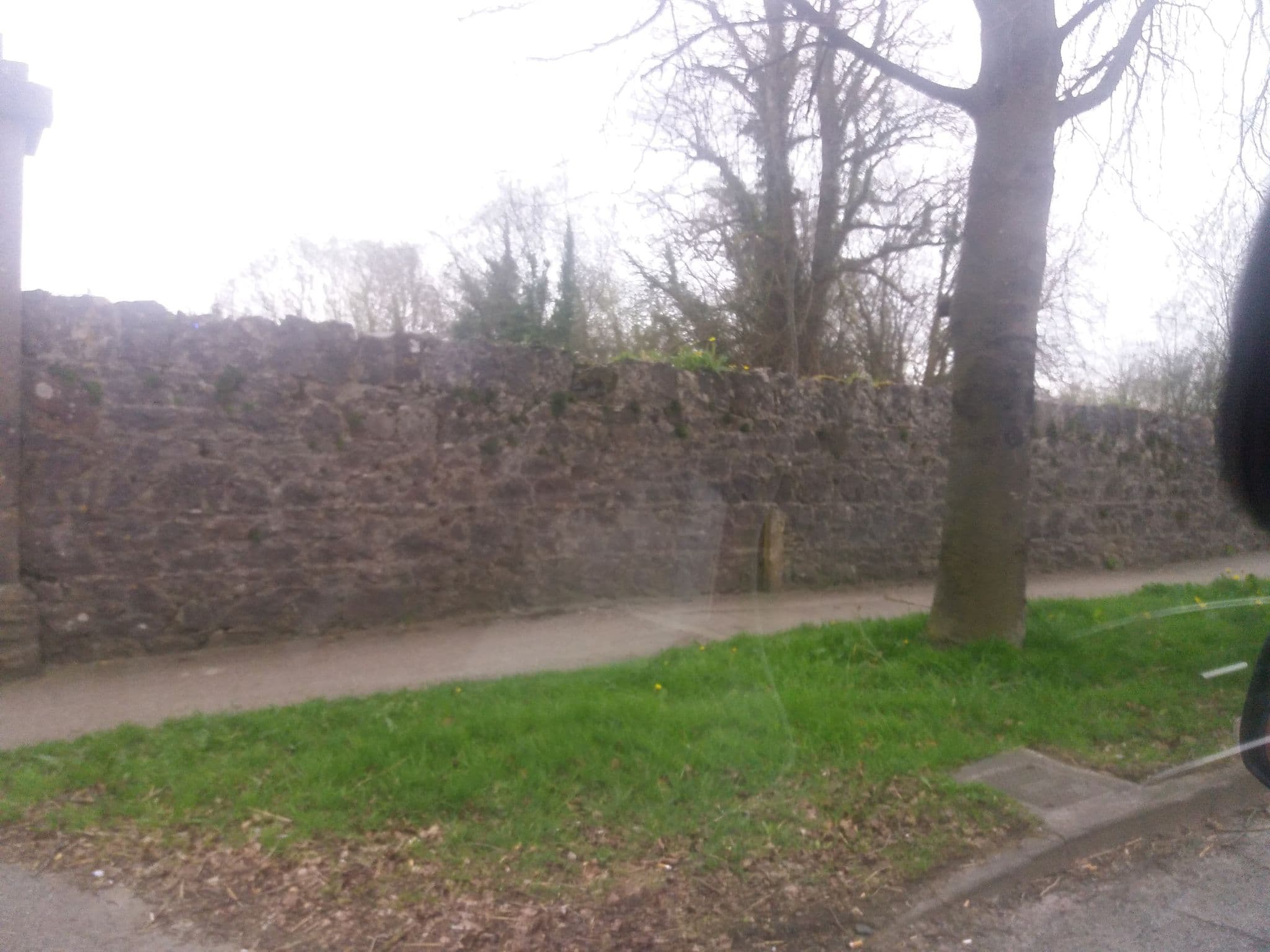 Street view near Hillcrest Country Home, Adare — © tshedy (CC BY-SA · Mapillary)