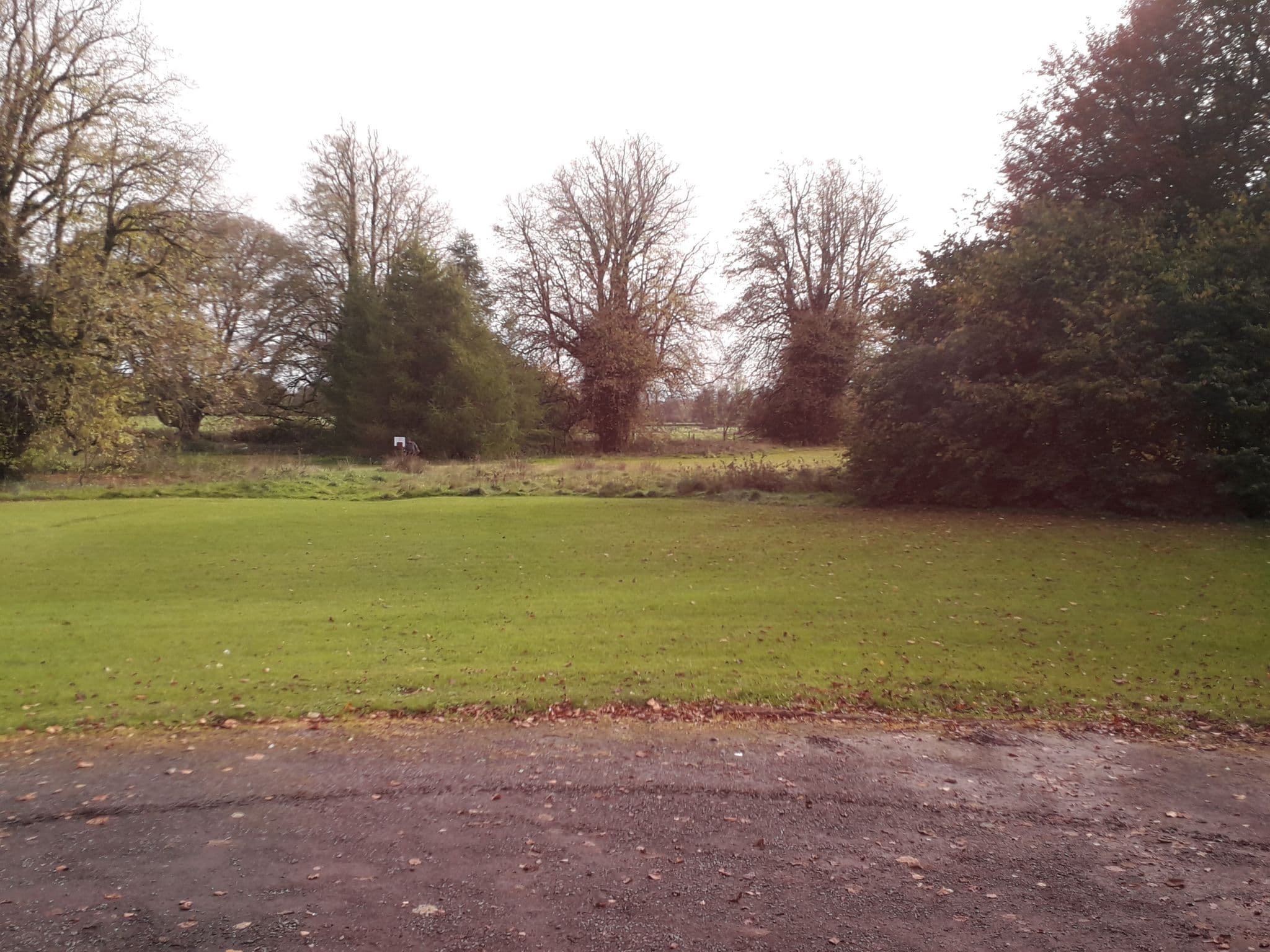 Street view near Roundwood House, Mountrath — © lineo (CC BY-SA · Mapillary)