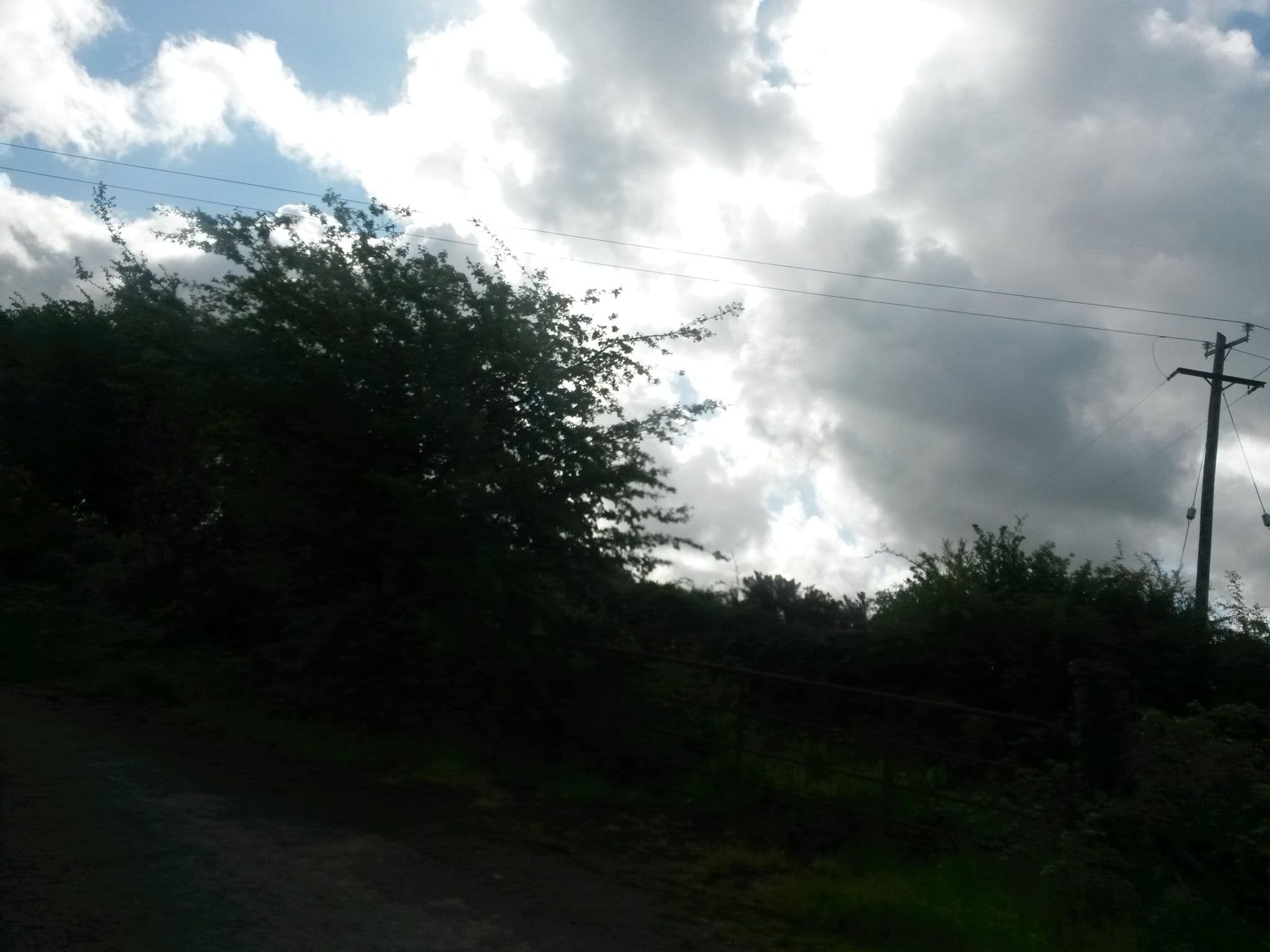 Street view near Coolattin Lodge, Ferns — © tshedy (CC BY-SA · Mapillary)