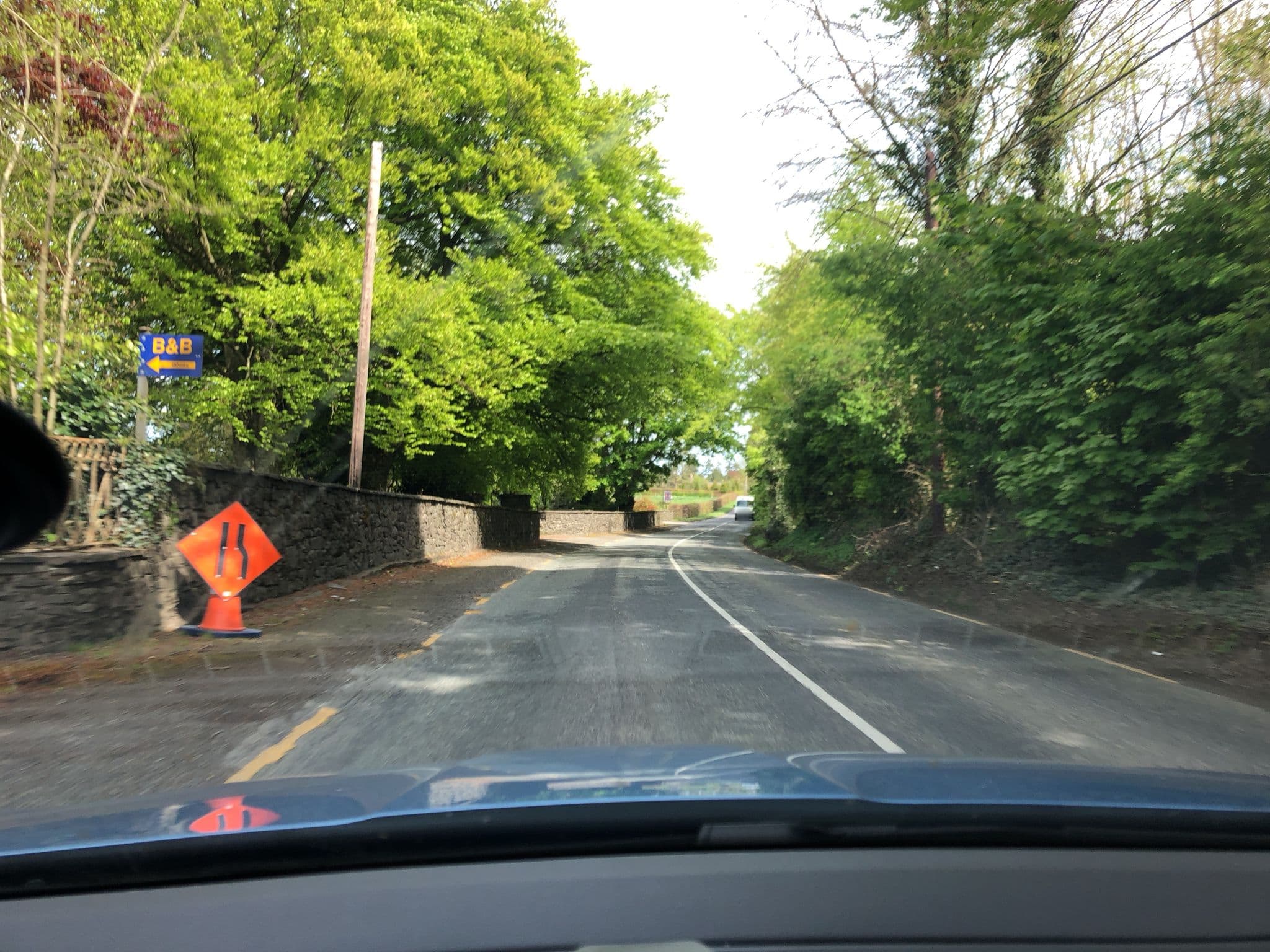 Street view near Sandymount House B&B, Abbeyleix — © stefan005 (CC BY-SA · Mapillary)