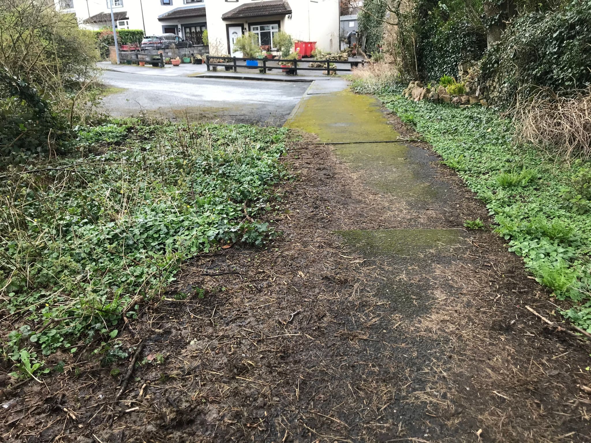 Street view near Hanley Oaks Hotel, Galway — © duyndx (CC BY-SA · Mapillary)