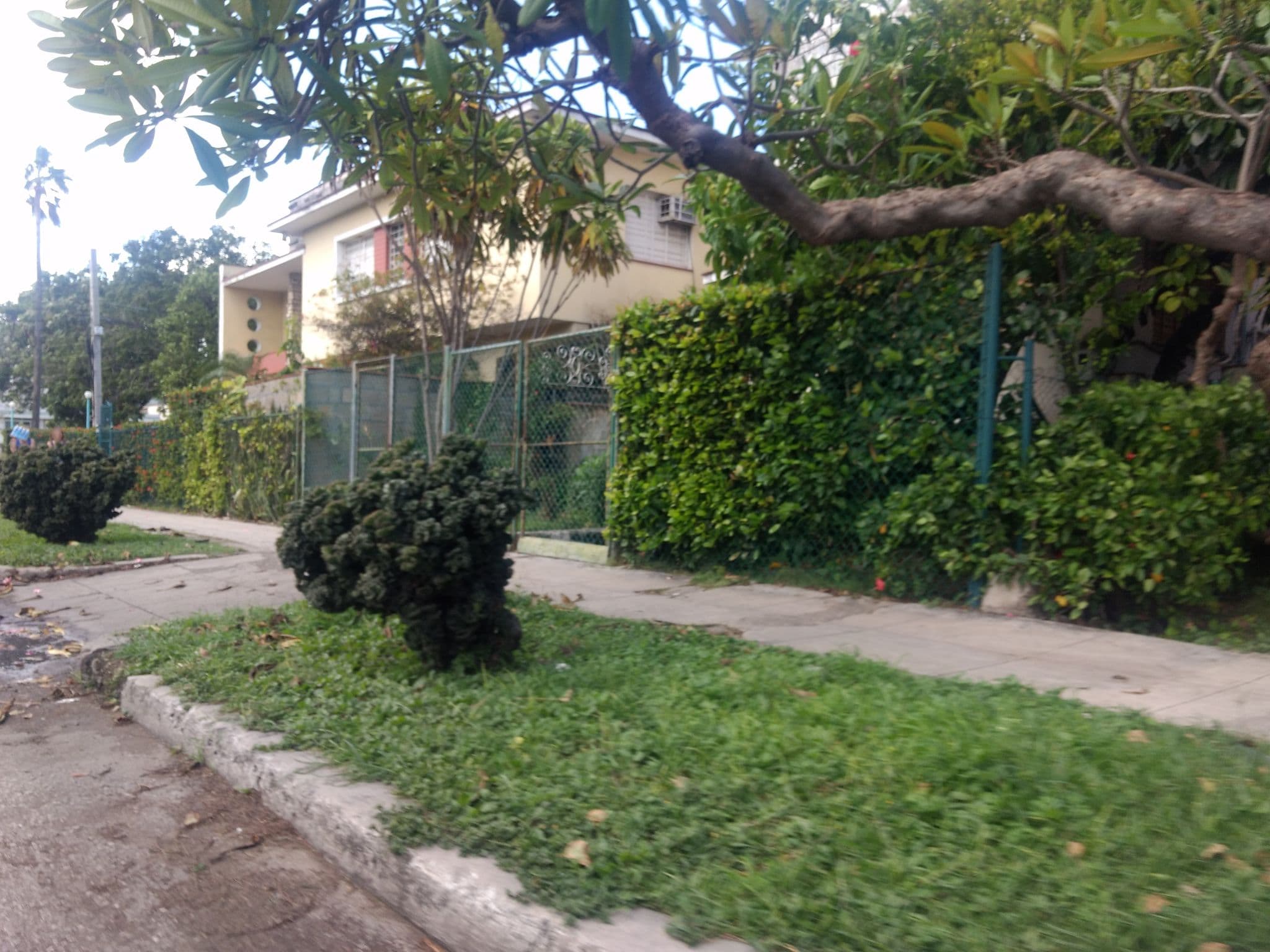 Street view near Sisoko, Almendares