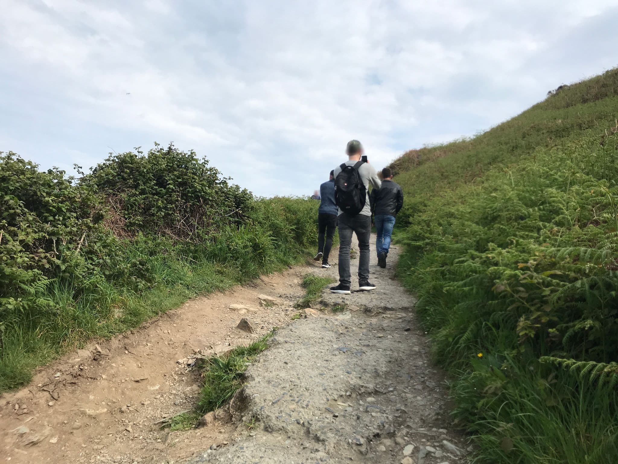 Street view near Howth Head, Howth — © miguel_andrade (CC BY-SA · Mapillary)
