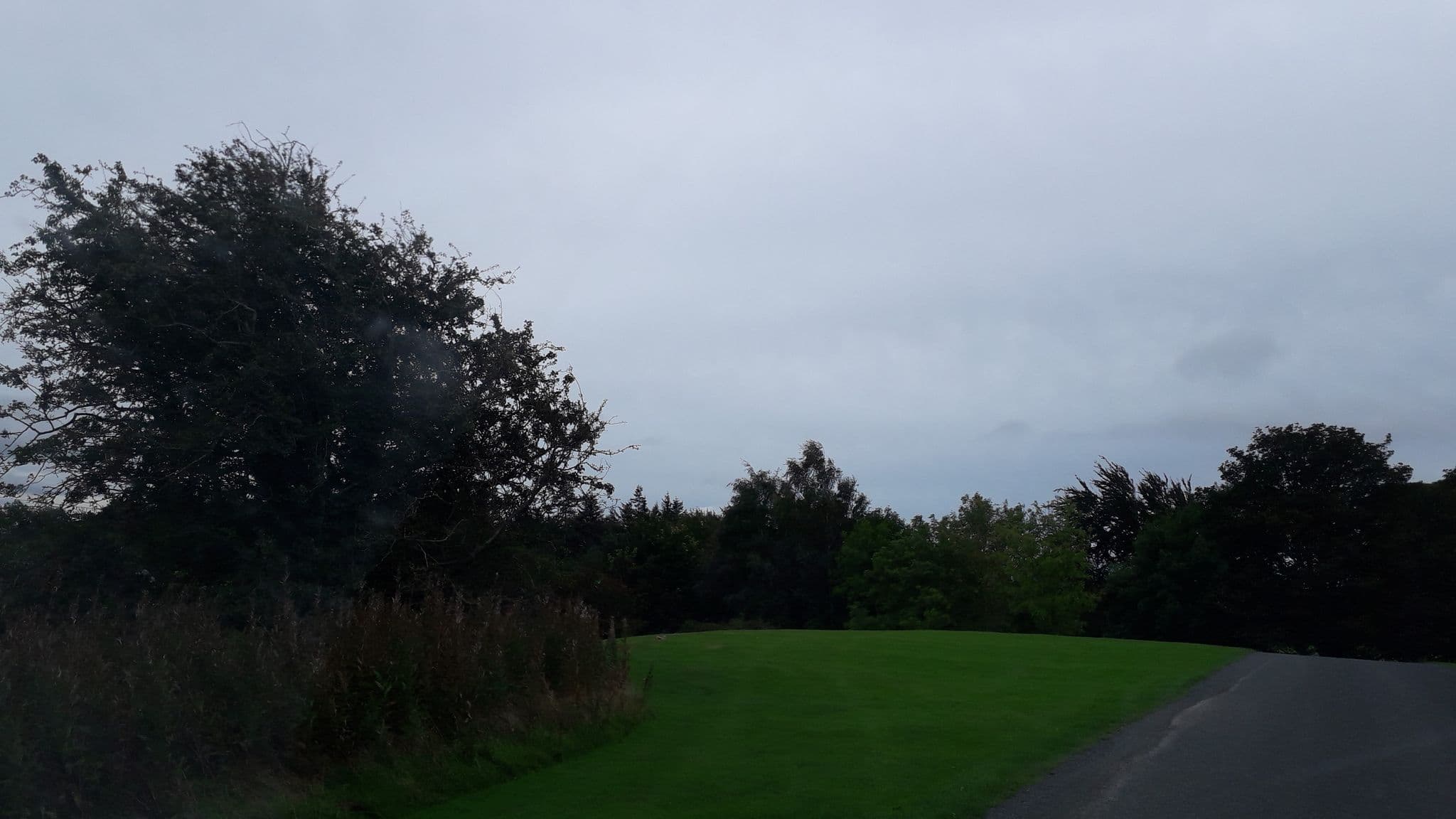 Street view near beechwood house, Enniskerry — © lineo (CC BY-SA · Mapillary)