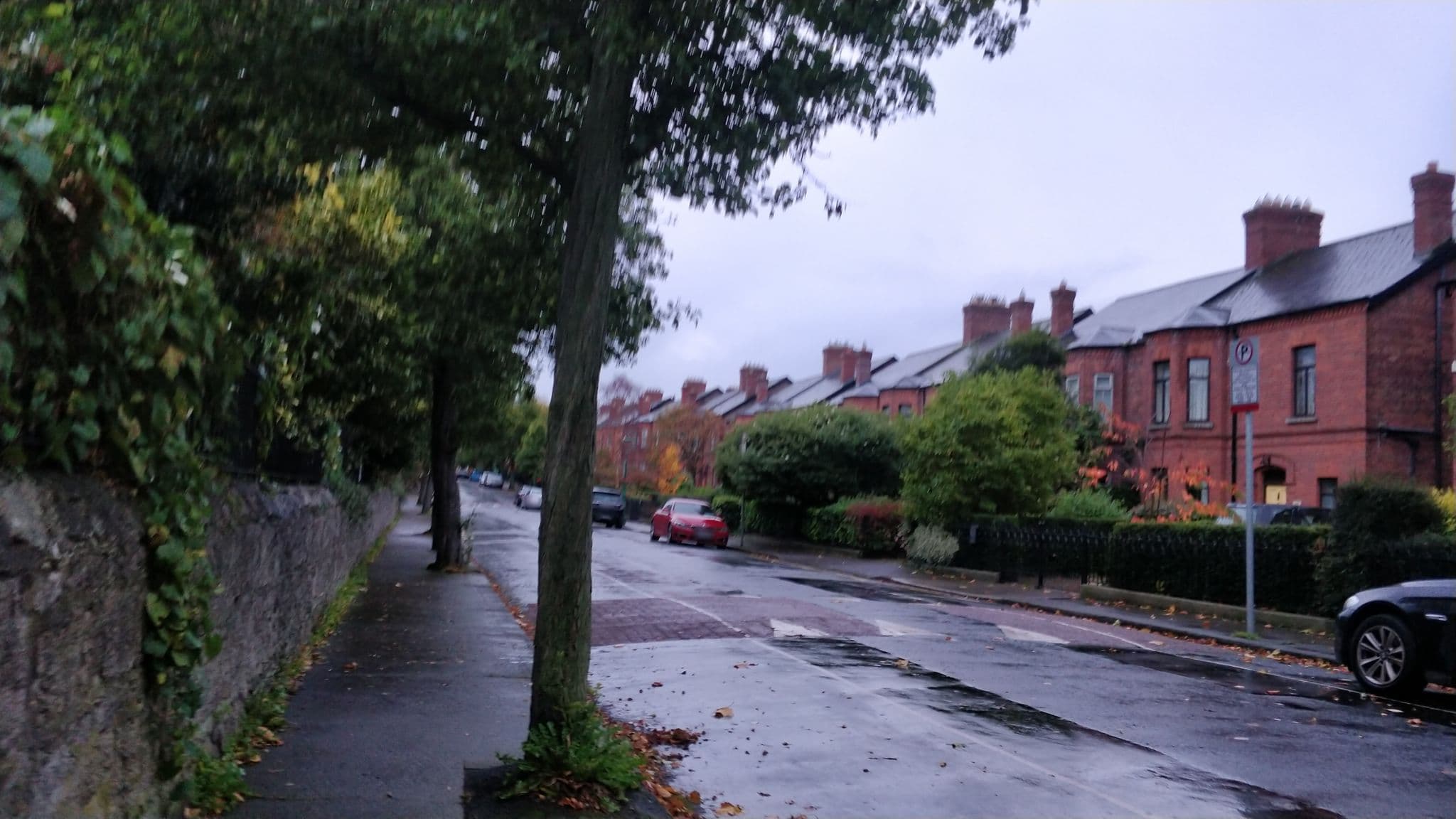 Street view near Oak Lodge, Dublin — © brianh (CC BY-SA · Mapillary)