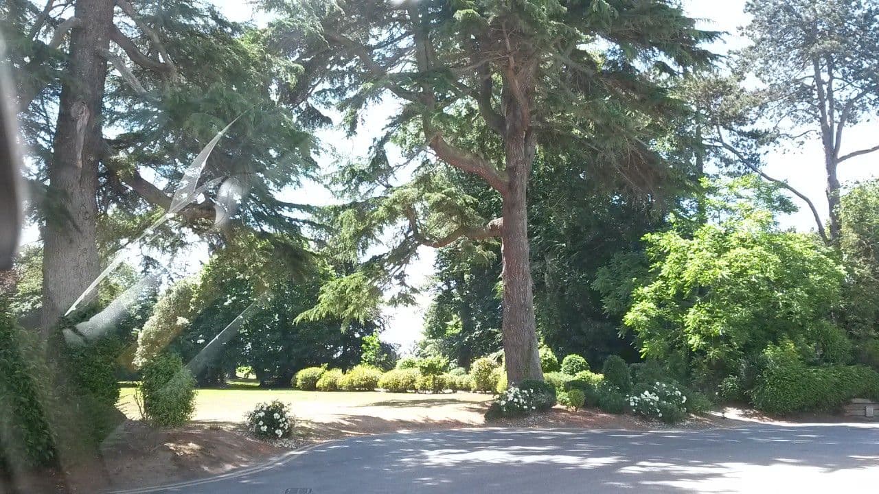 Street view near Roganstown Golf and Country Club, Swords — © tshedy (CC BY-SA · Mapillary)
