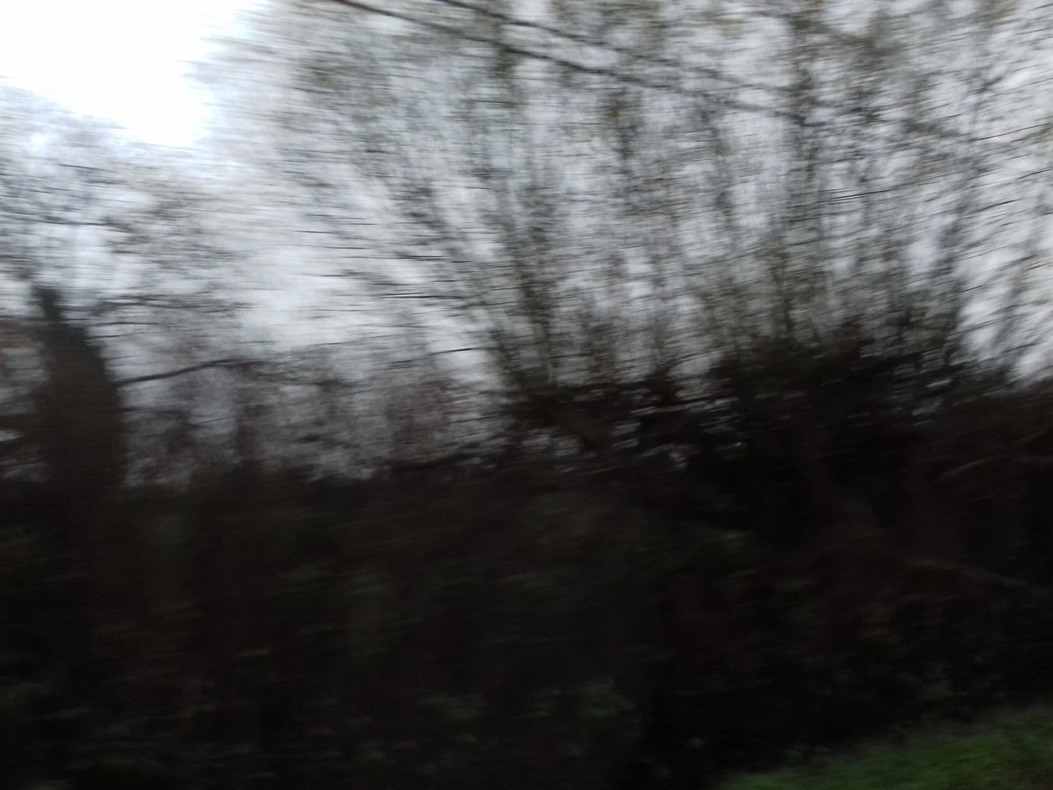 Street view near Mulroy Woods Hotel, Ramelton — © debigc (CC BY-SA · Mapillary)