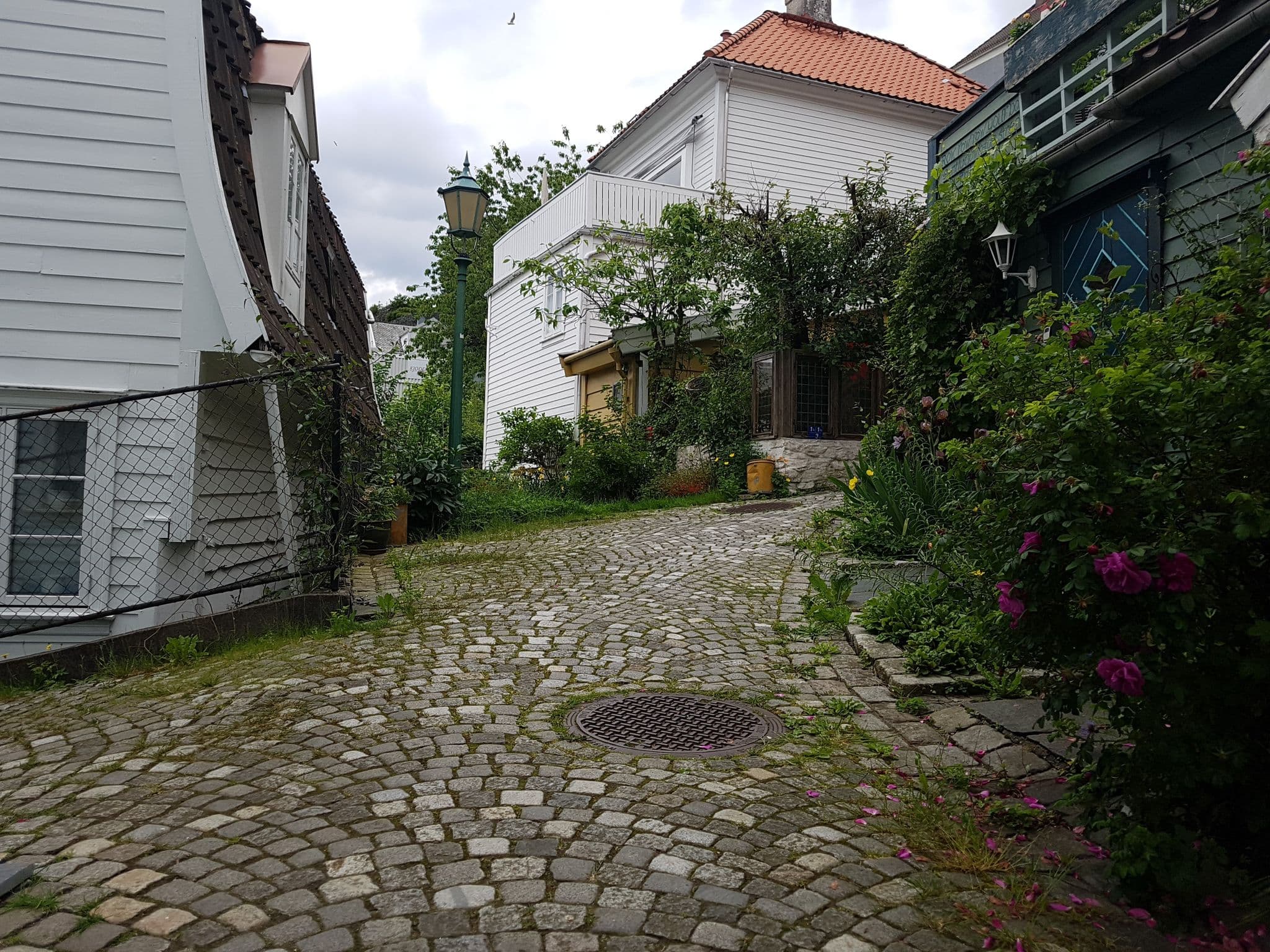 Street view near Annehelene's B&B, Bergen — © pbb (CC BY-SA · Mapillary)