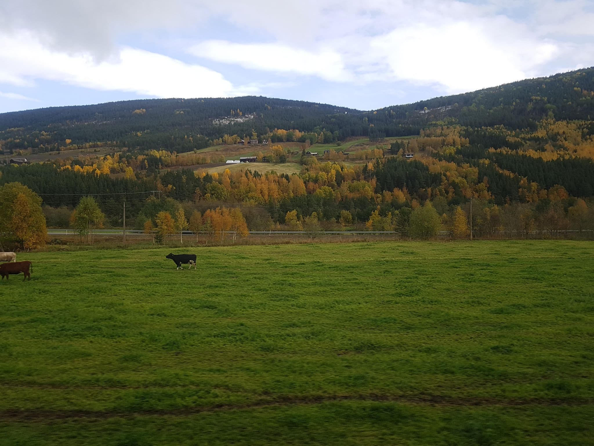 Street view near Sletten Motell, Dombås — © pbb (CC BY-SA · Mapillary)