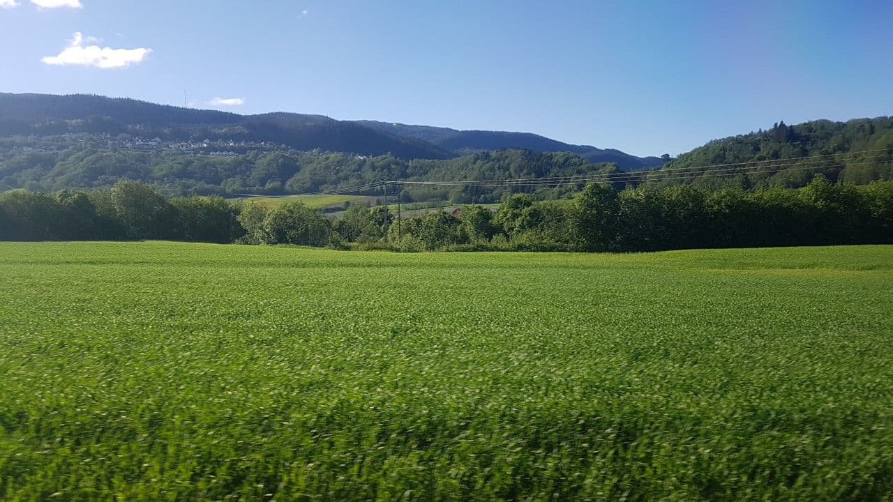 Street view near Karivollen Overnatting, Melhus — © pbb (CC BY-SA · Mapillary)