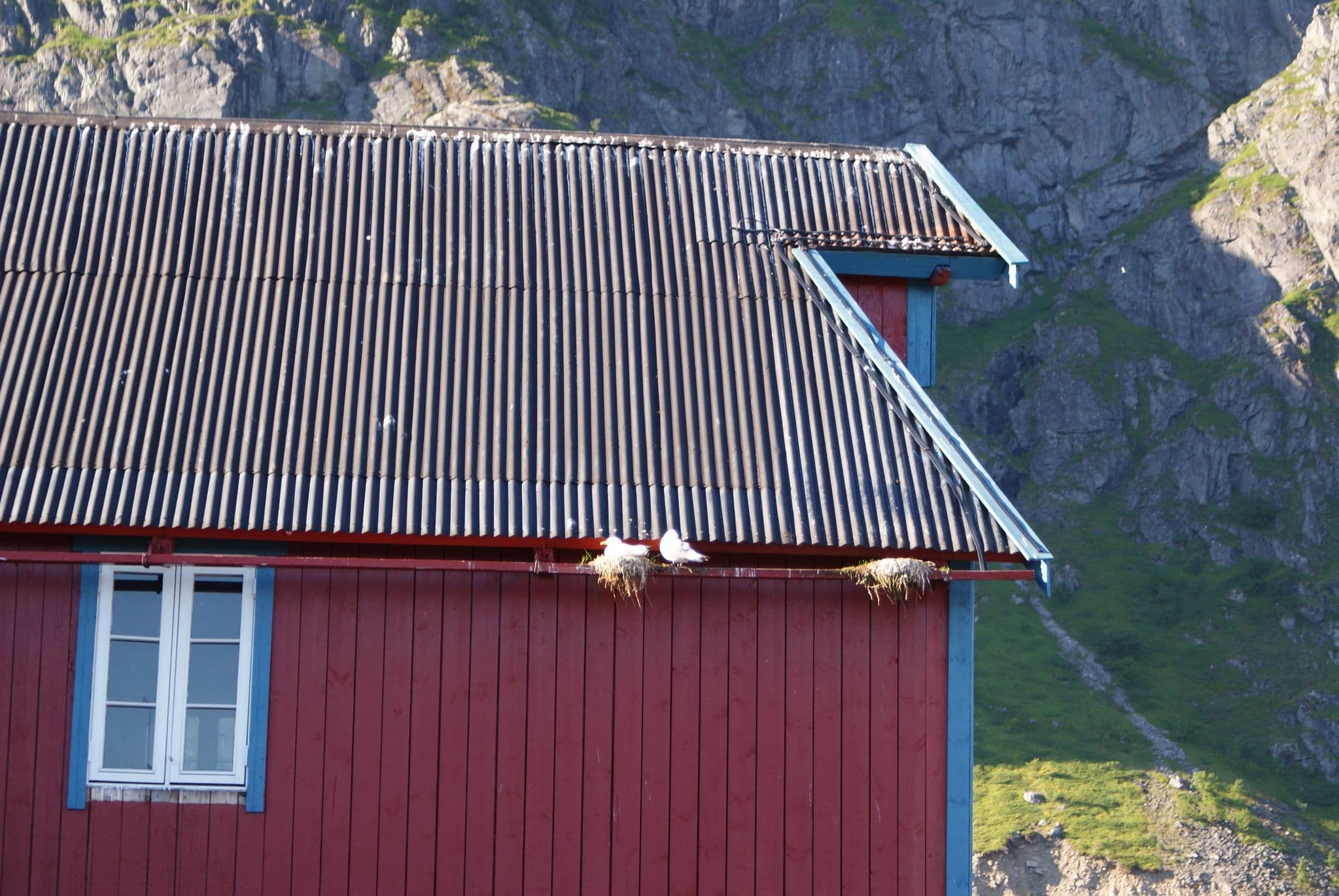 Street view near Salteriet Hostel, Gravdal — © allefm (CC BY-SA · Mapillary)
