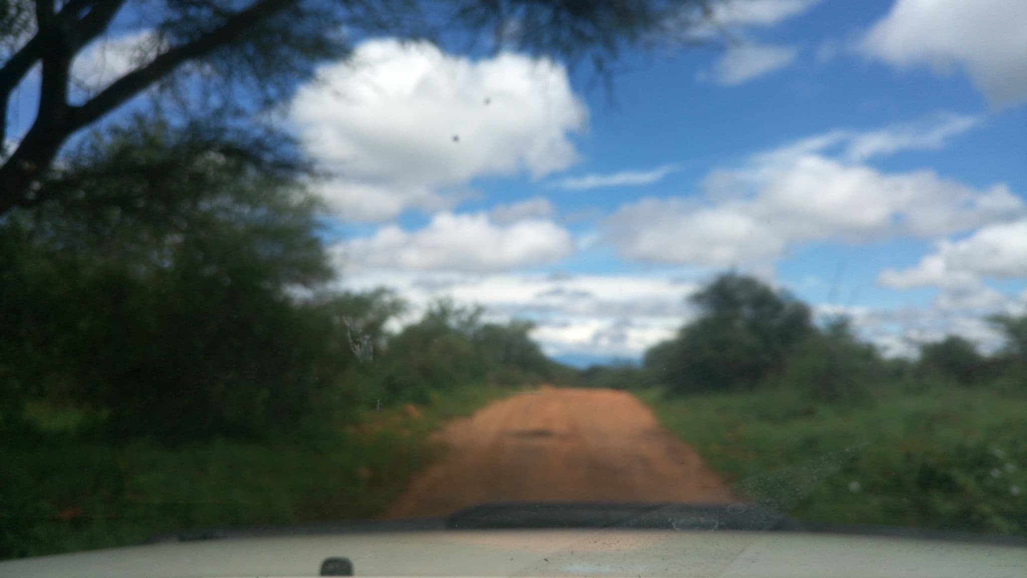 Street view near Finch Hattons, Mtito Andei — © roadroid (CC BY-SA · Mapillary)